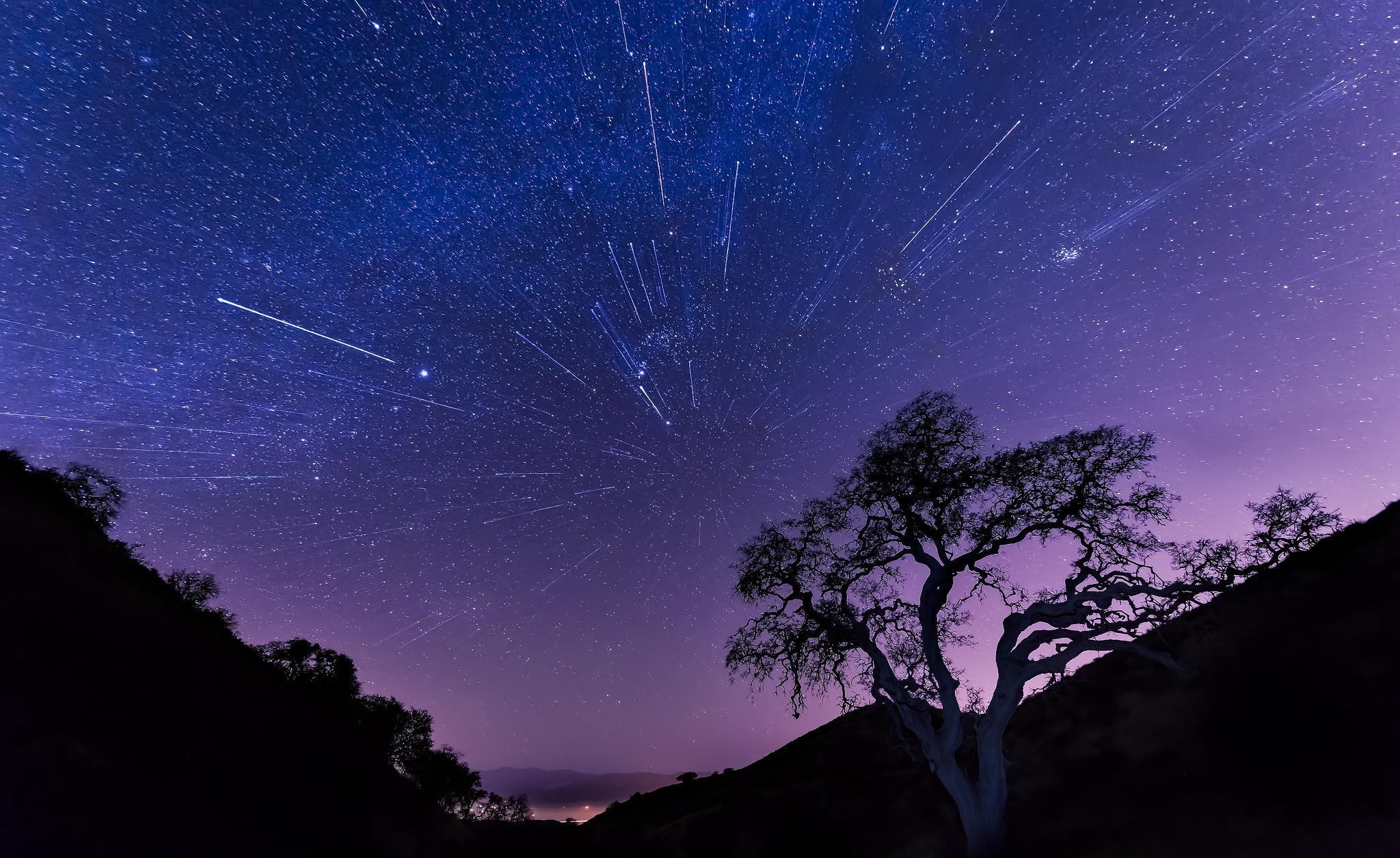 Star trails over a silhouetted tree and hills HD Wallpaper