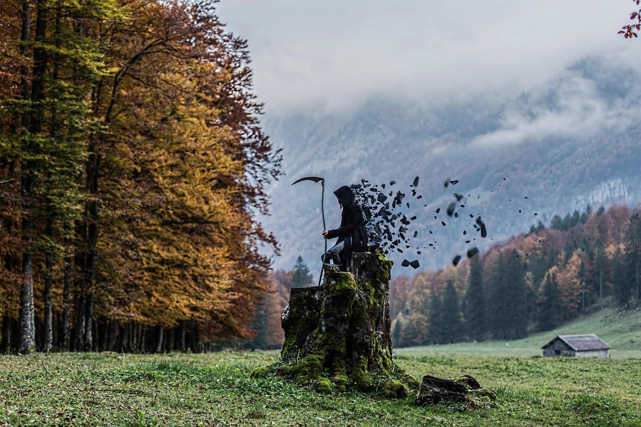 Grim Reaper sitting on a tree stump disintegrating HD Wallpaper