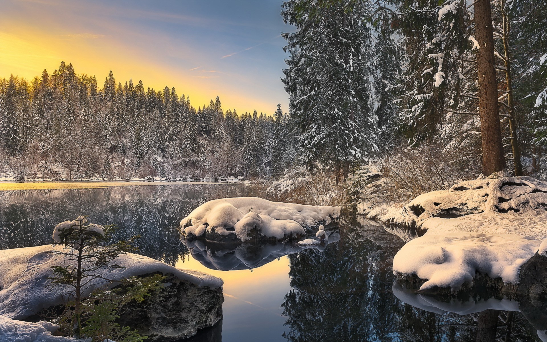Snowy forest landscape with a lake at sunset HD Wallpaper