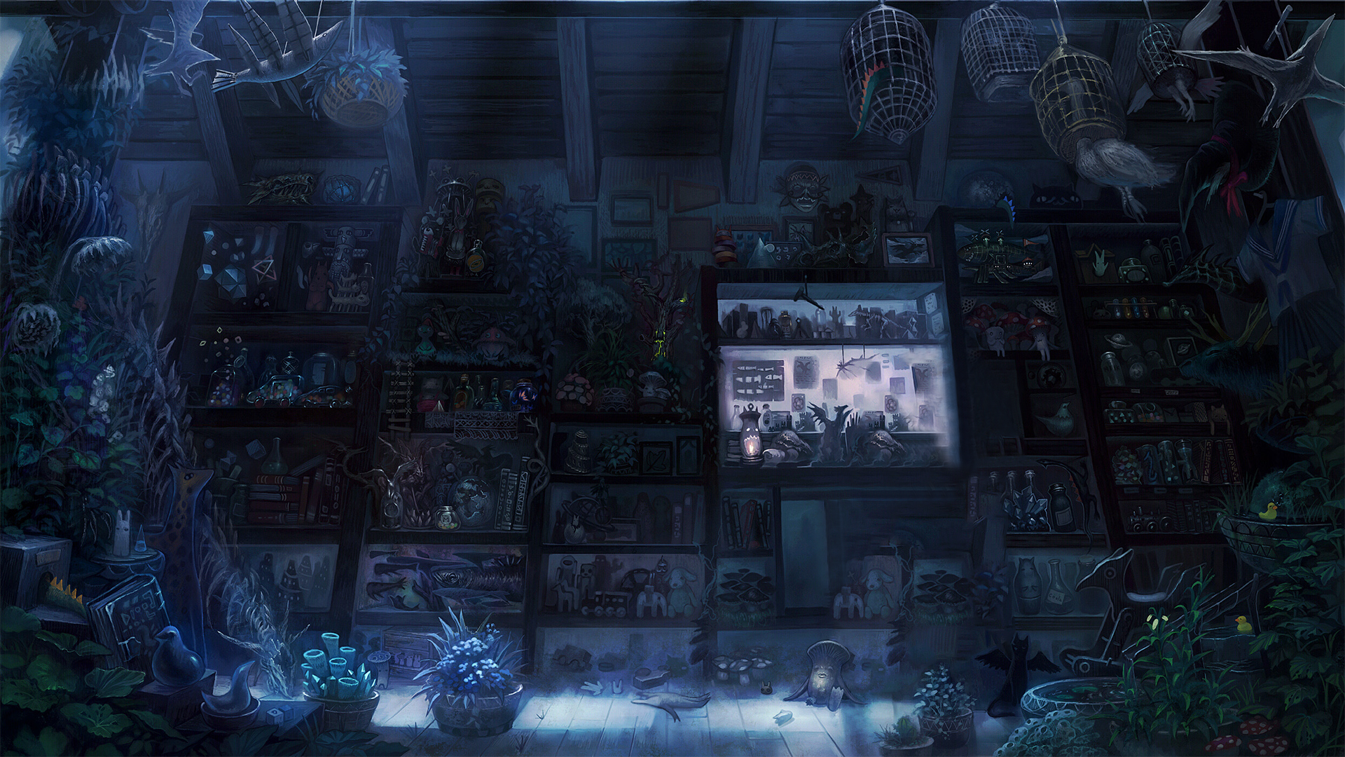 A cluttered room filled with shelves of curiosities and plants HD Wallpaper