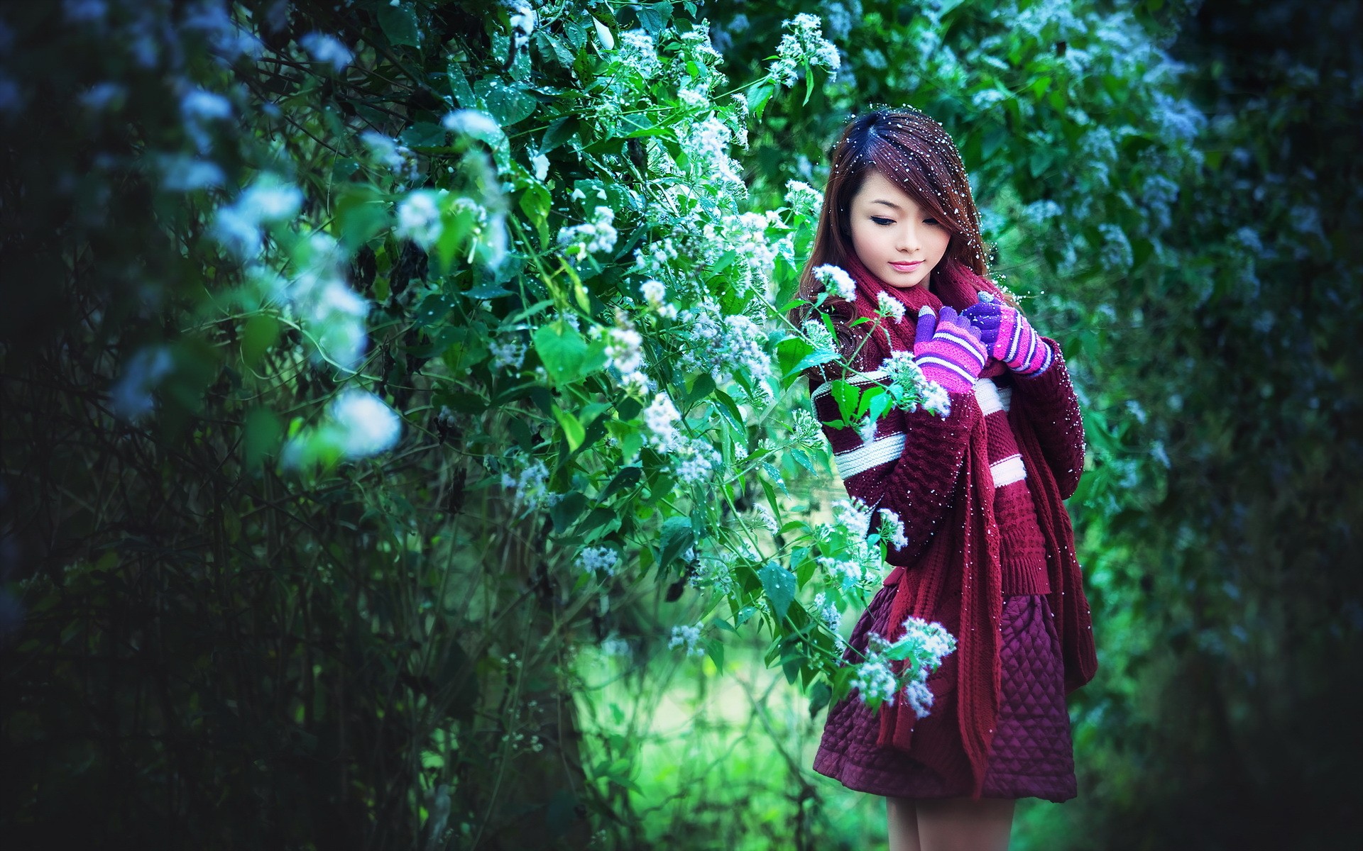 Asian model in a burgundy dress and scarf HD Wallpaper