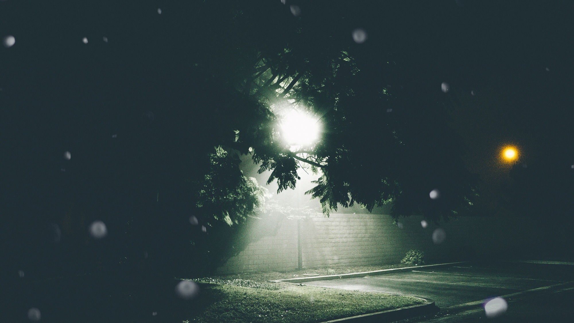 Streetlights illuminate a parking lot at night HD Wallpaper