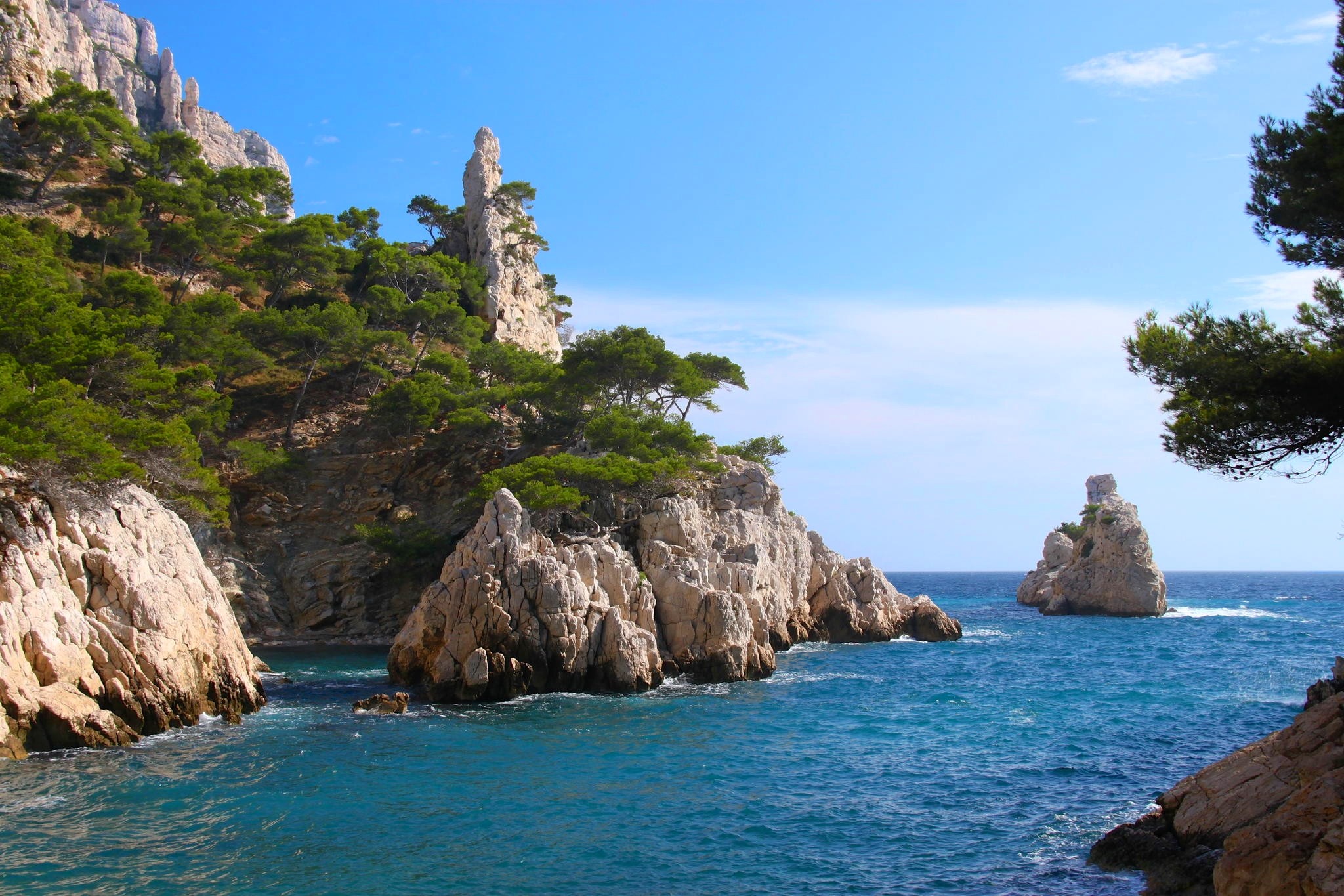 Rocky coast with pine trees and blue sea in France HD Wallpaper