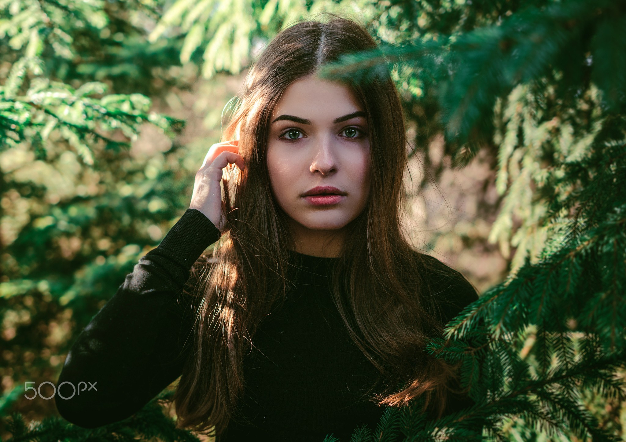 Young woman with long brown hair in a forest HD Wallpaper