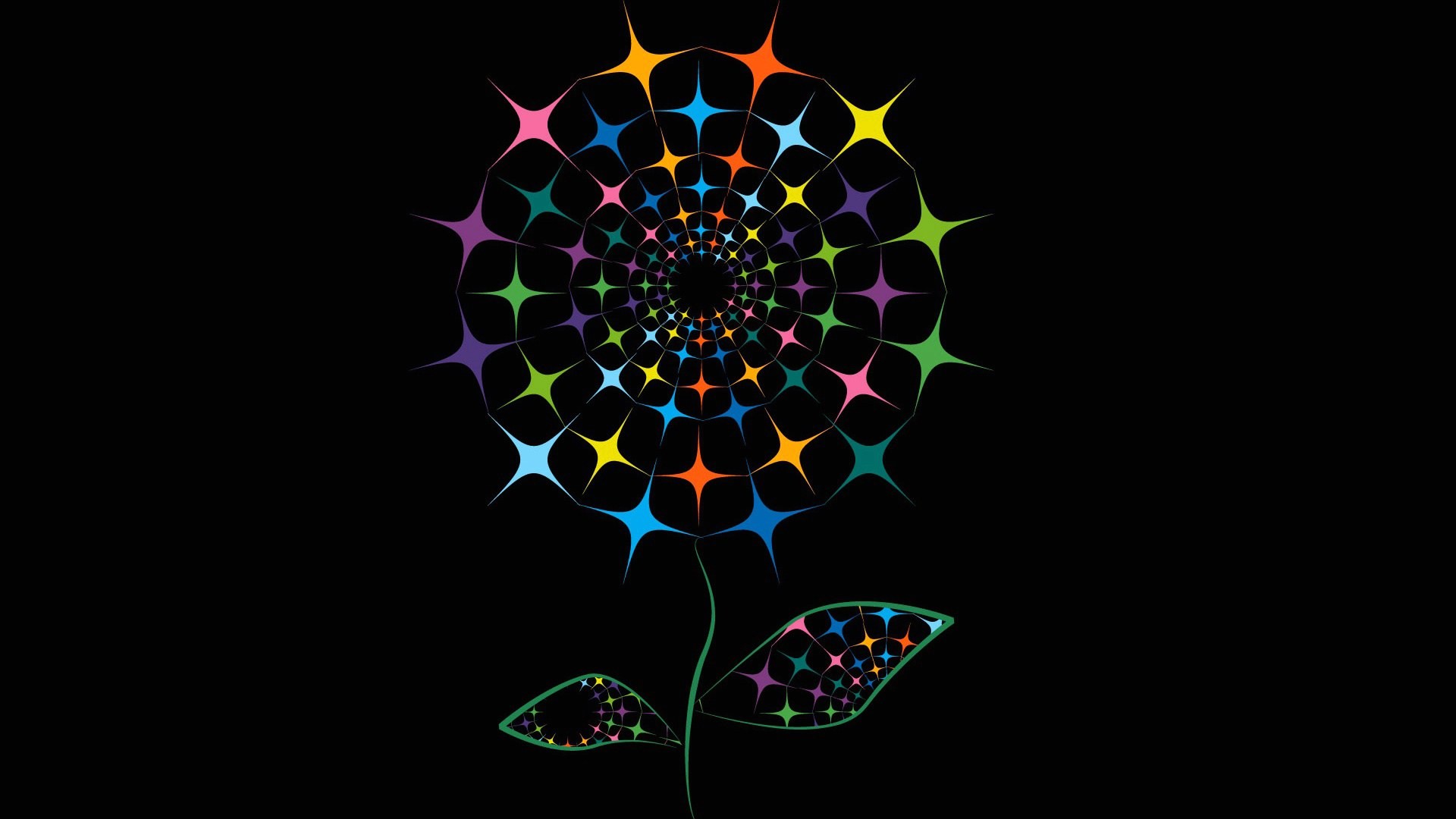 Colorful abstract fractal flower on black background HD Wallpaper