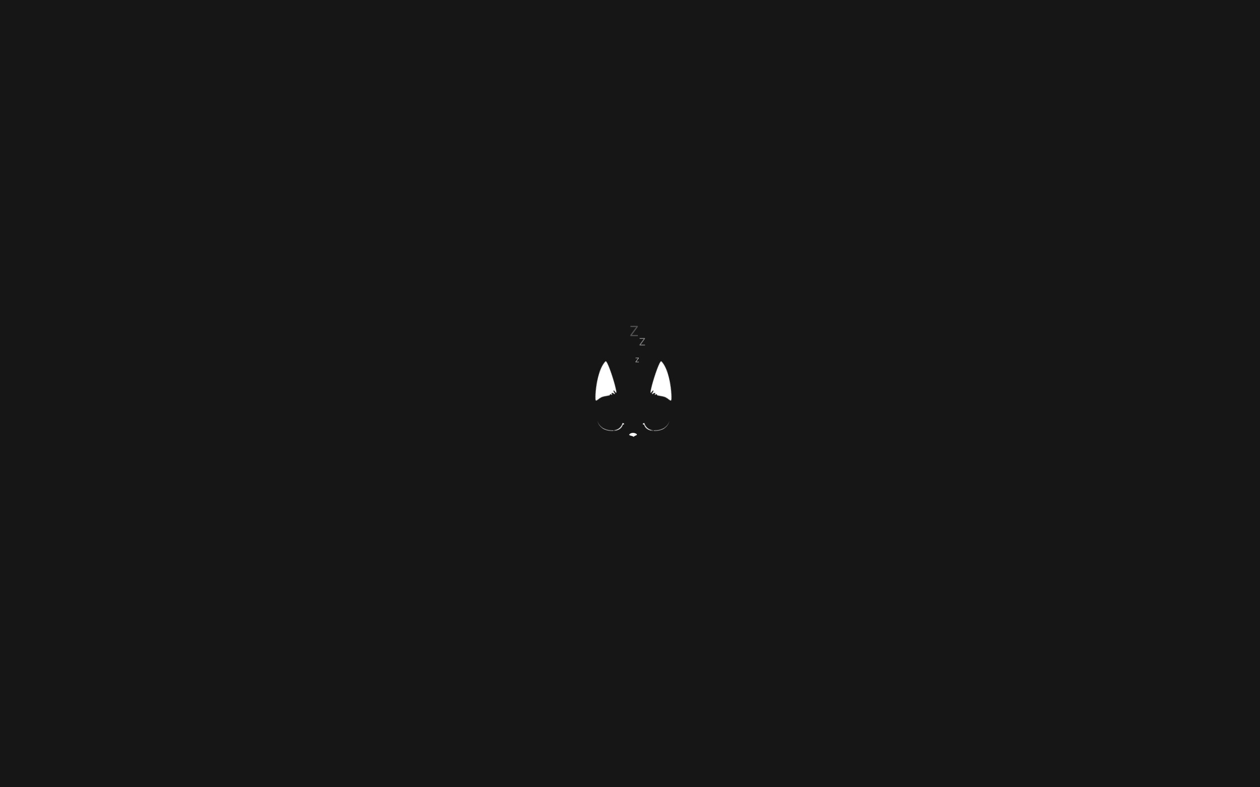Minimalist black cat sleeping HD Wallpaper