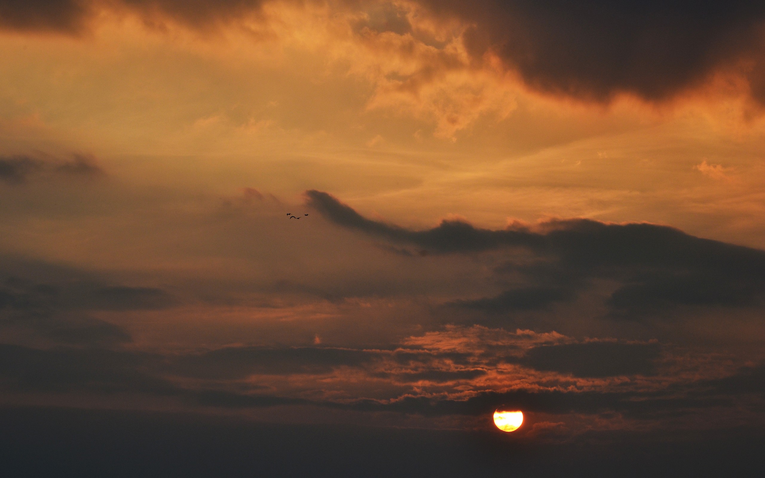 Sunset with clouds and birds HD Wallpaper
