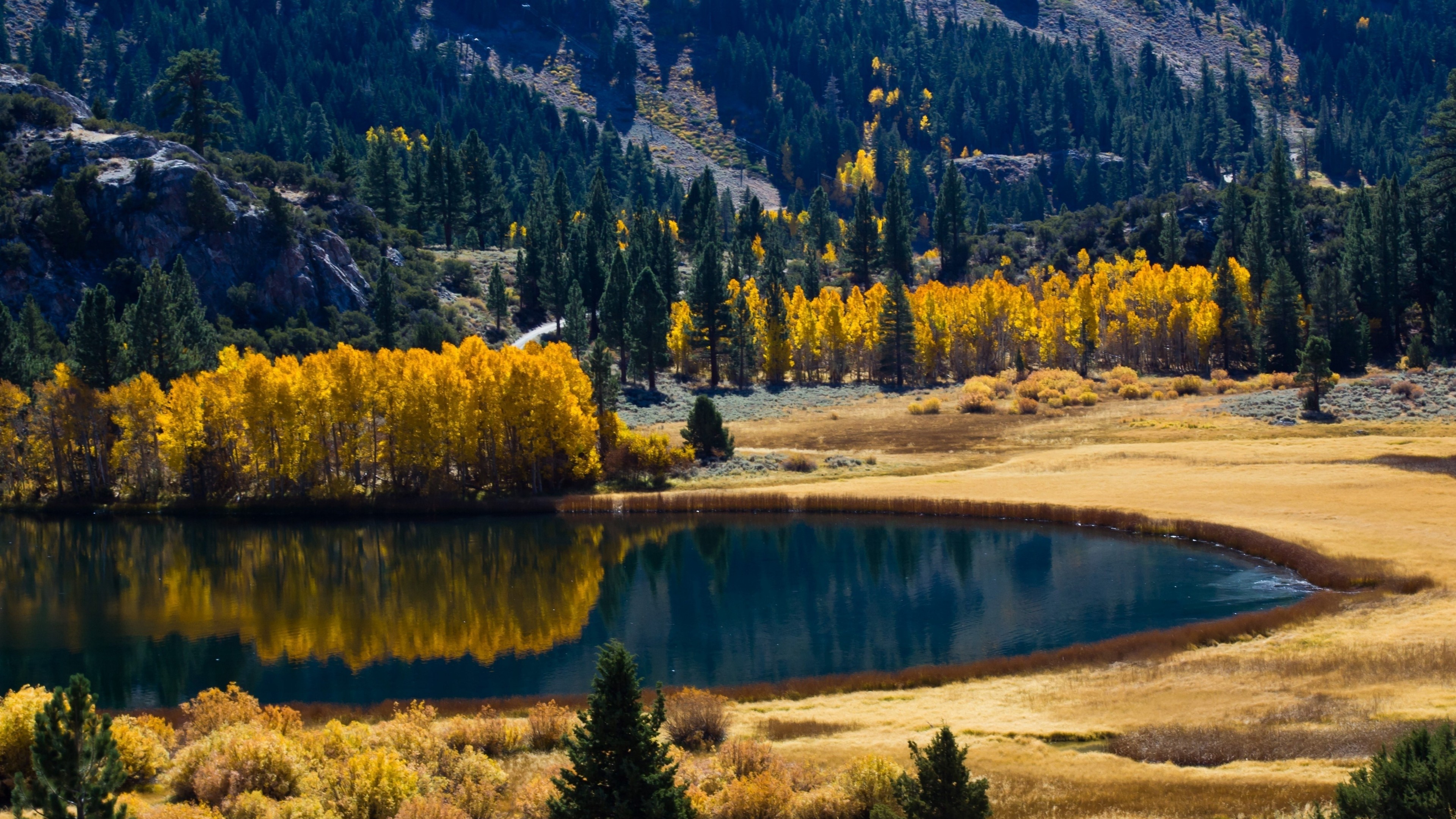 Autumn lake with yellow trees and mountain backdrop HD Wallpaper