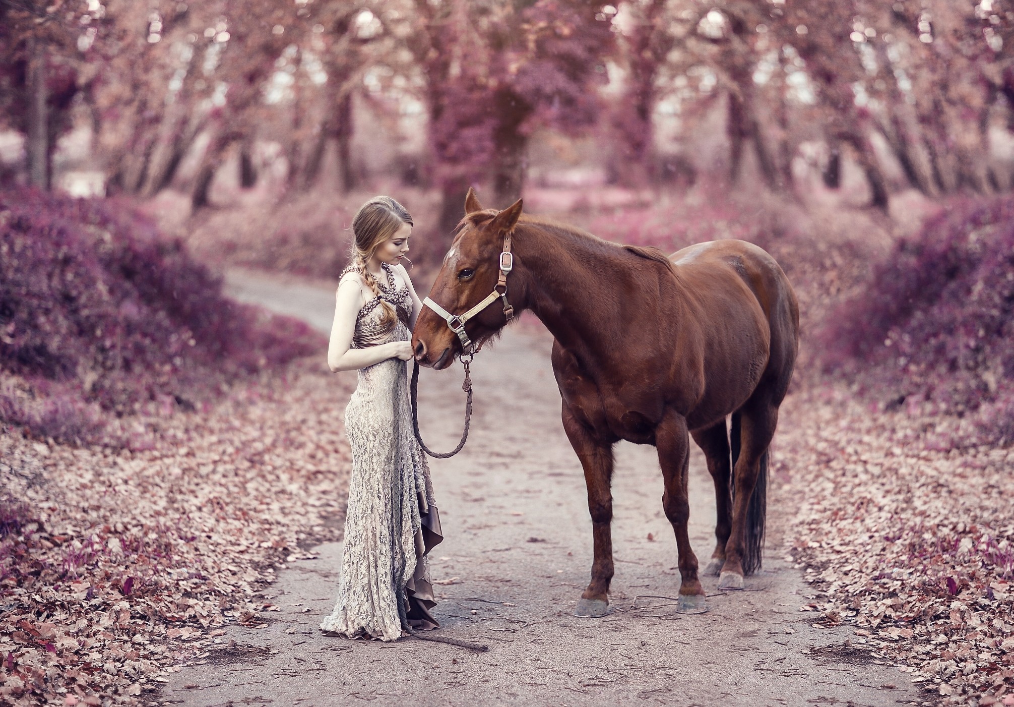Woman in a dress with a horse in a forest HD Wallpaper