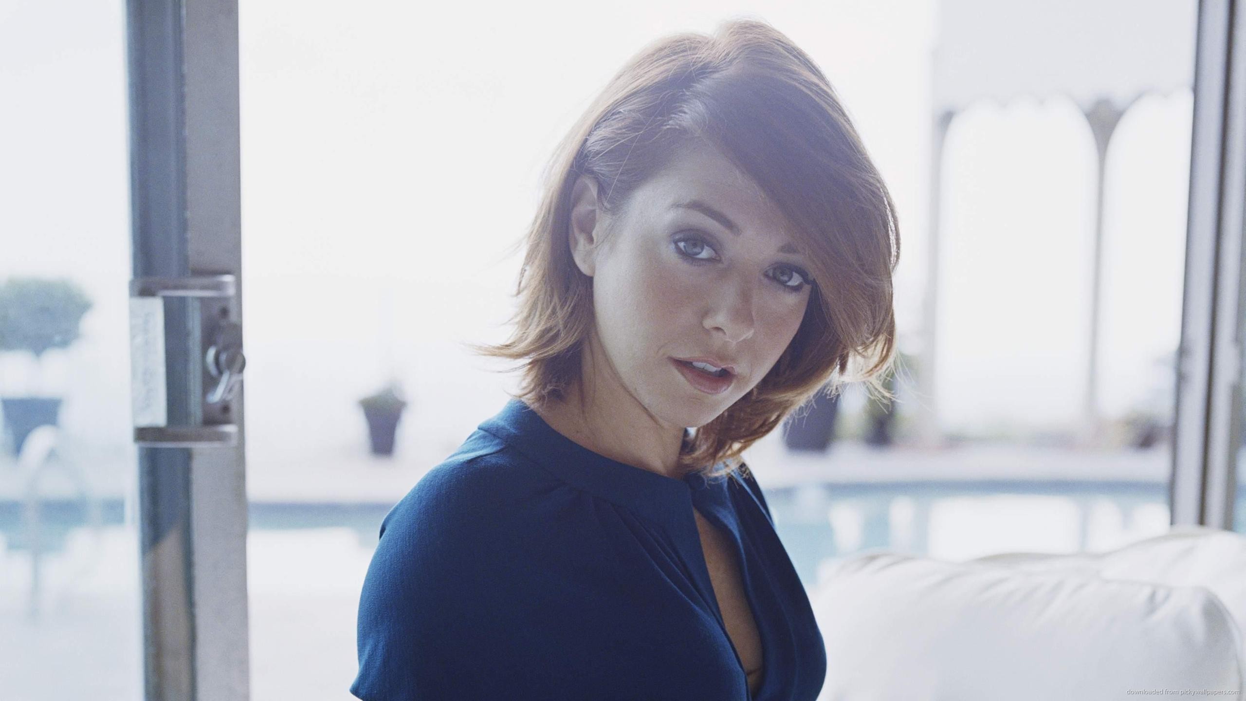Alyson Hannigan in a blue dress HD Wallpaper