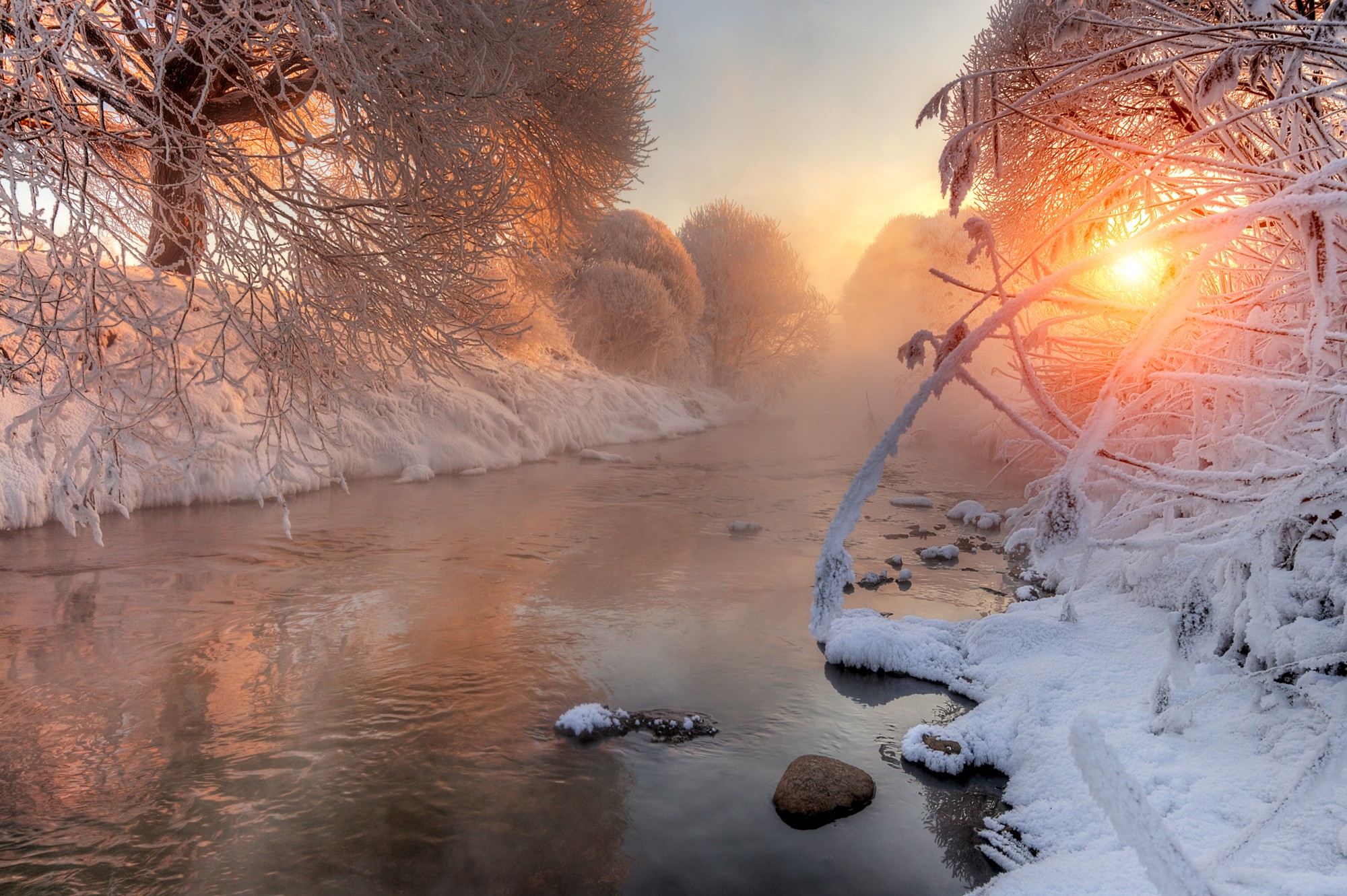 Winter river with snow-covered trees and sunlight HD Wallpaper