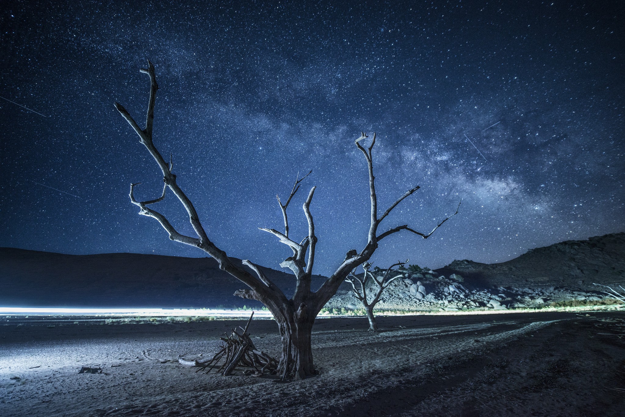 Dead trees under the Milky Way galaxy HD Wallpaper