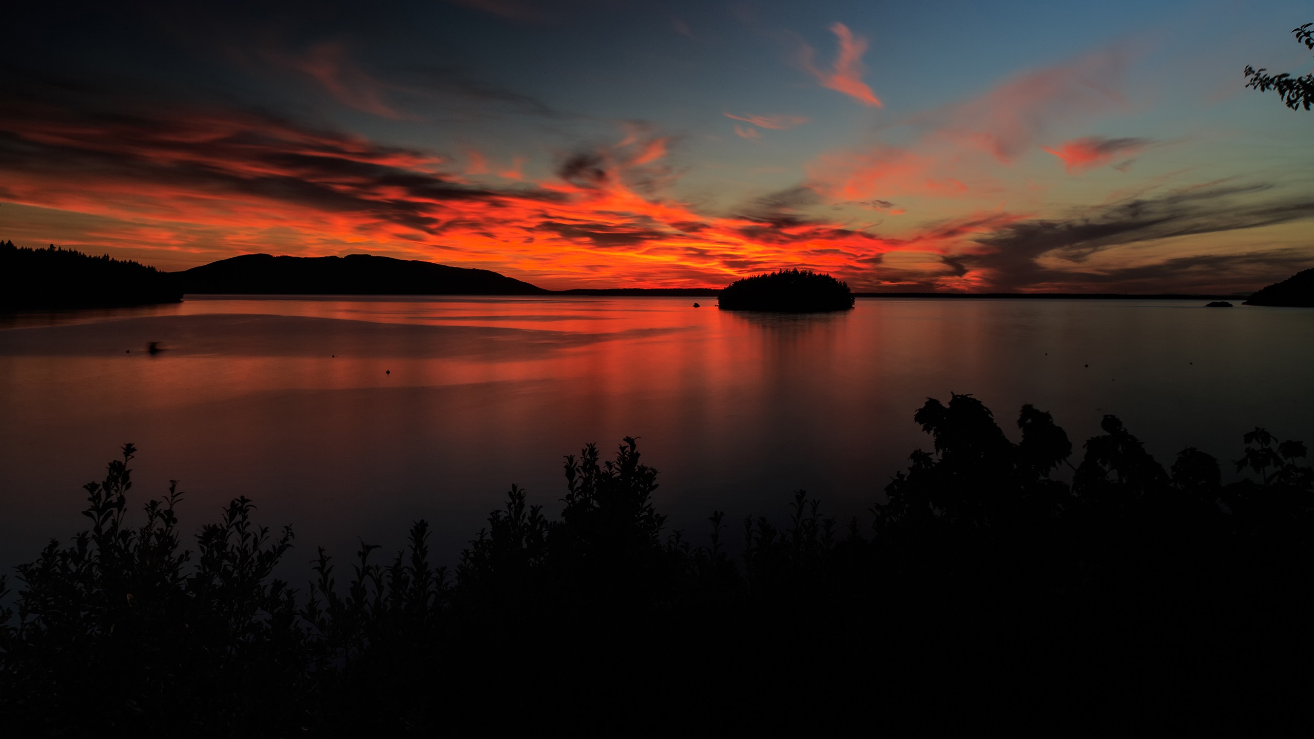 Sunset over a calm lake with silhouetted trees HD Wallpaper