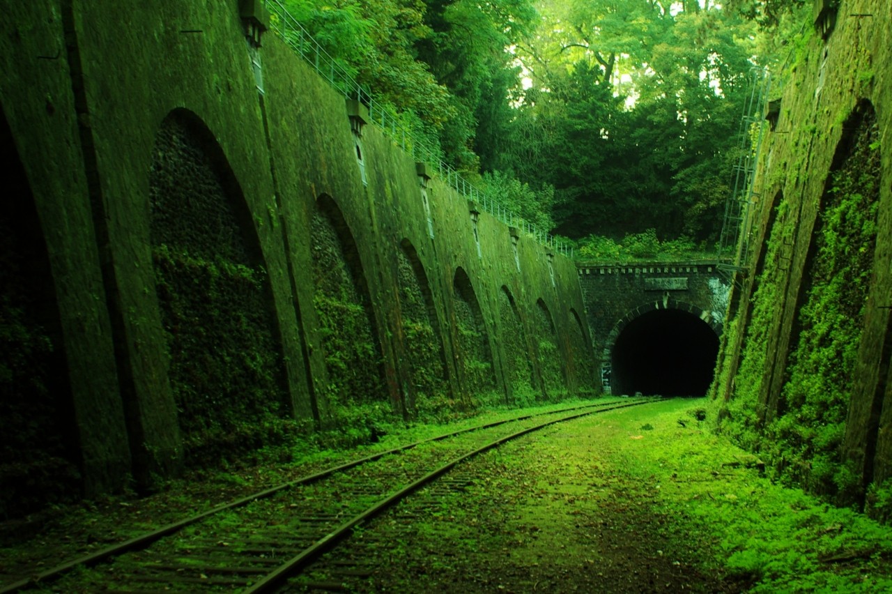 Abandoned railway tunnel overgrown with moss HD Wallpaper