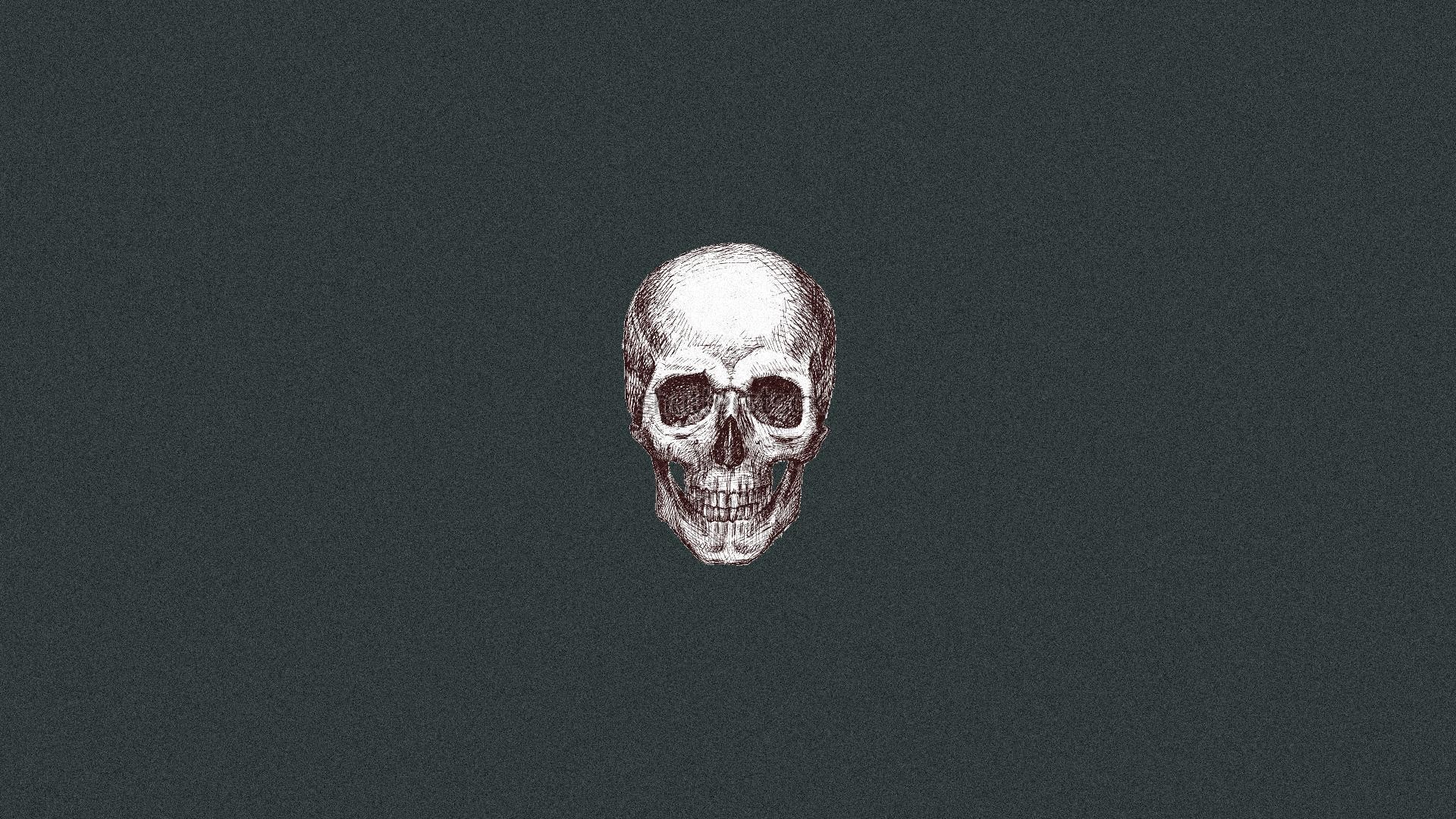A detailed sketch of a human skull HD Wallpaper