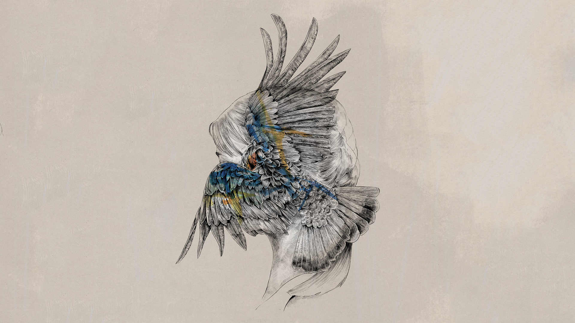 Artwork of a woman with bird wings by Monstercat HD Wallpaper