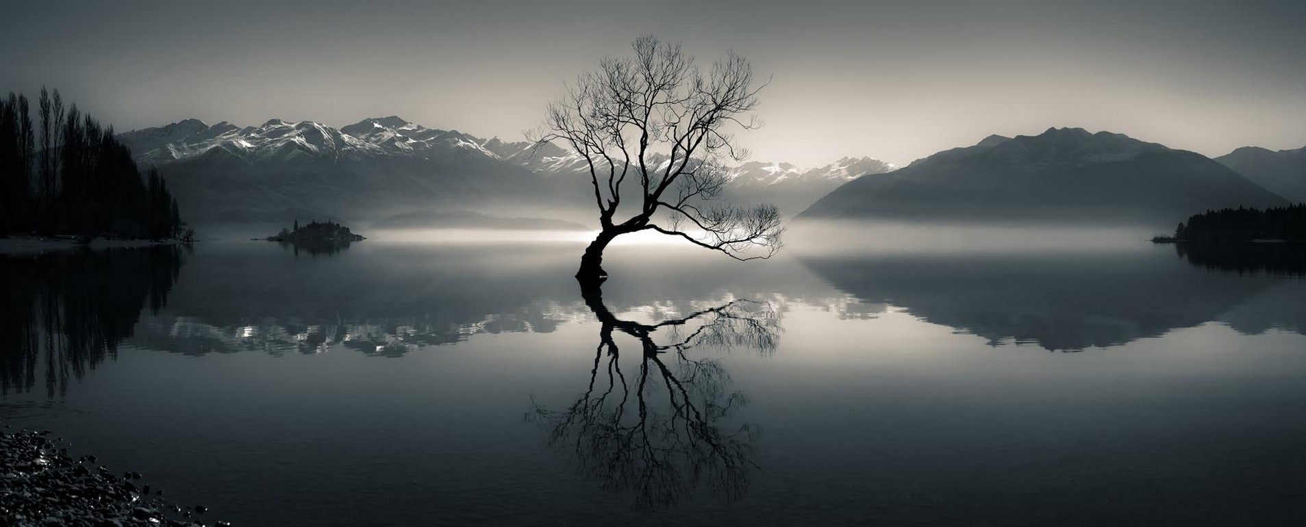 Lone tree reflected in a misty lake with mountains HD Wallpaper