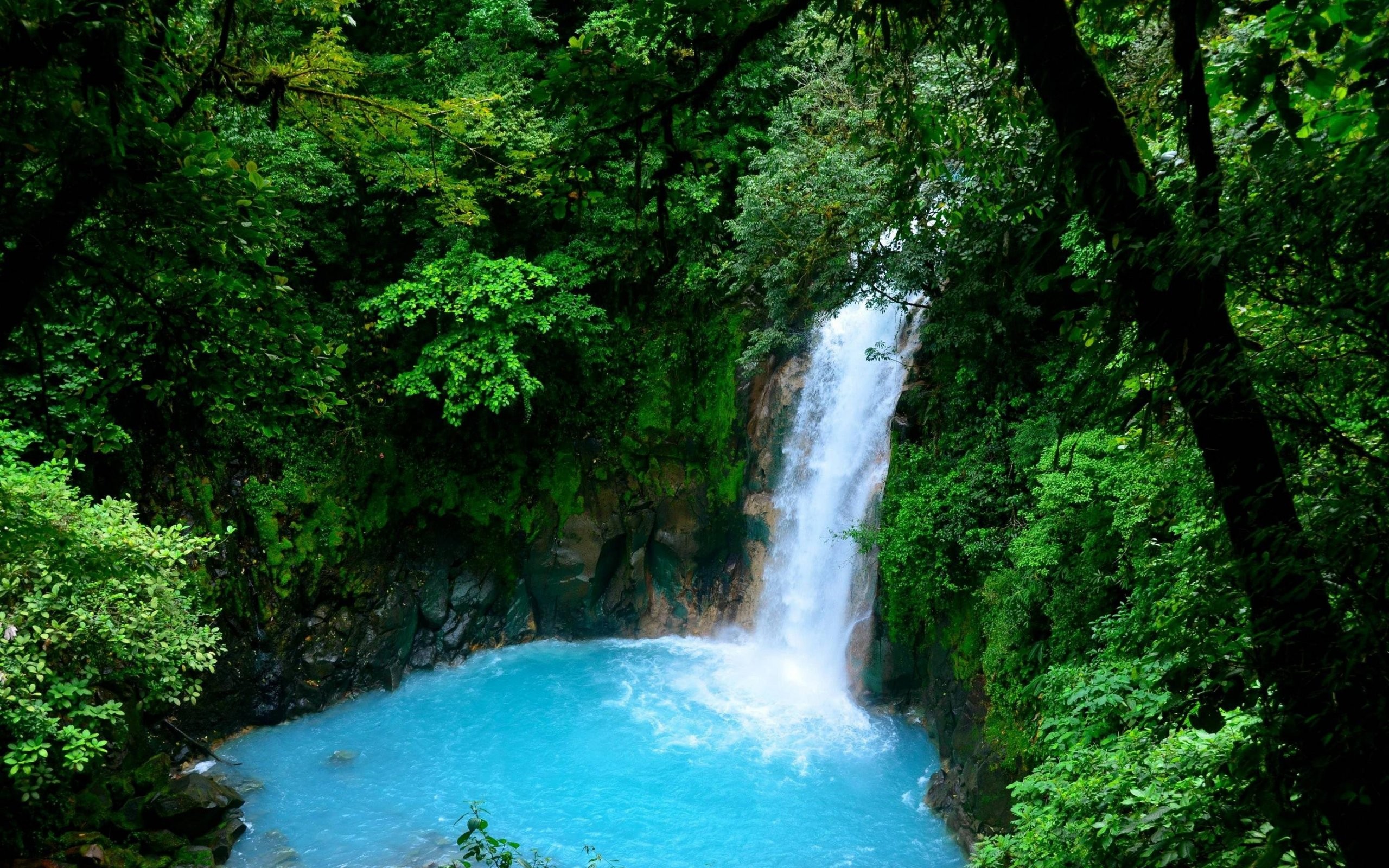 Waterfall in a lush green forest with turquoise water HD Wallpaper