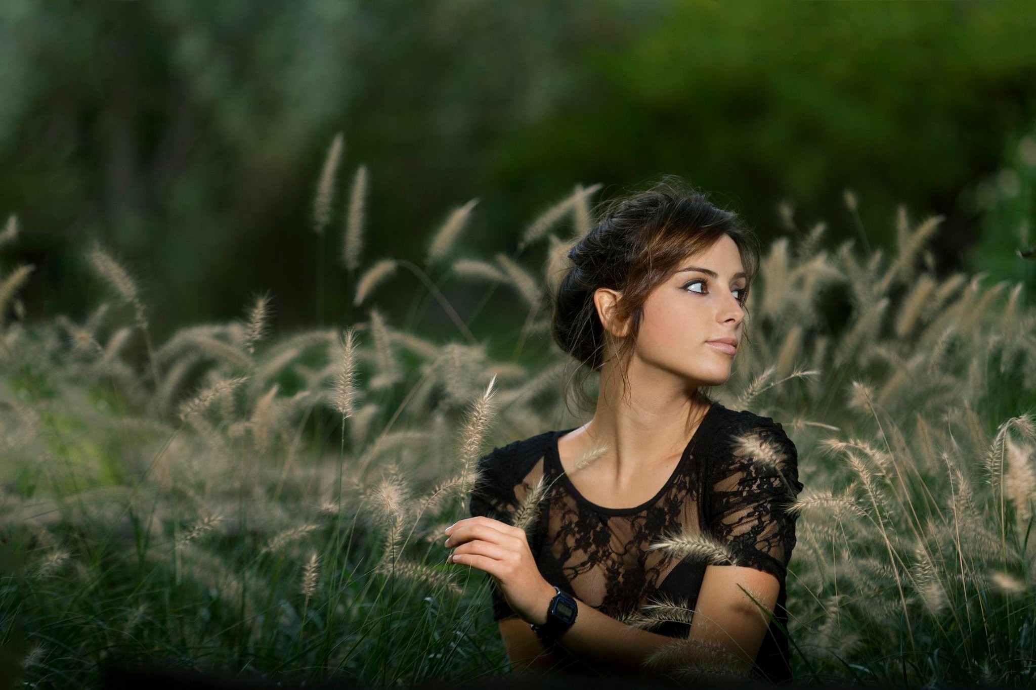 Carolina Torres in a field of tall grass HD Wallpaper