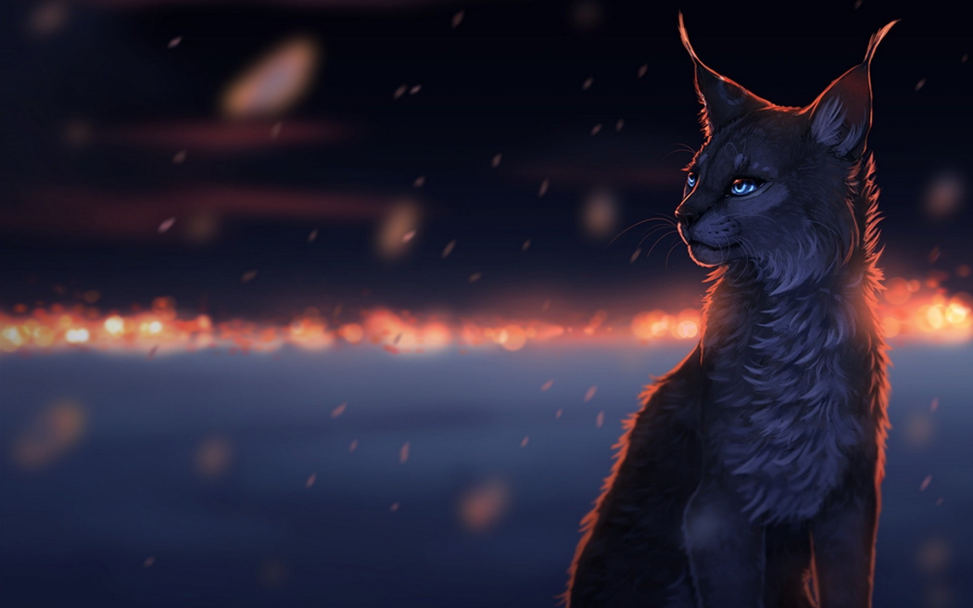 A lynx with blue eyes sits in the dark HD Wallpaper