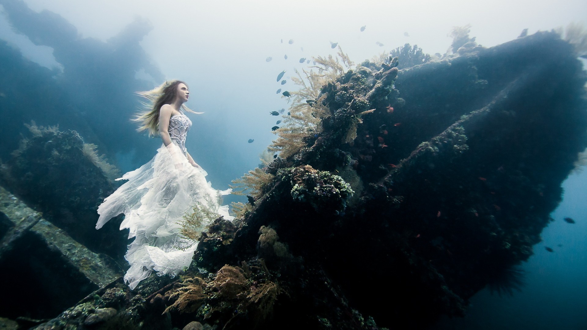 Woman in white dress underwater near coral reef HD Wallpaper