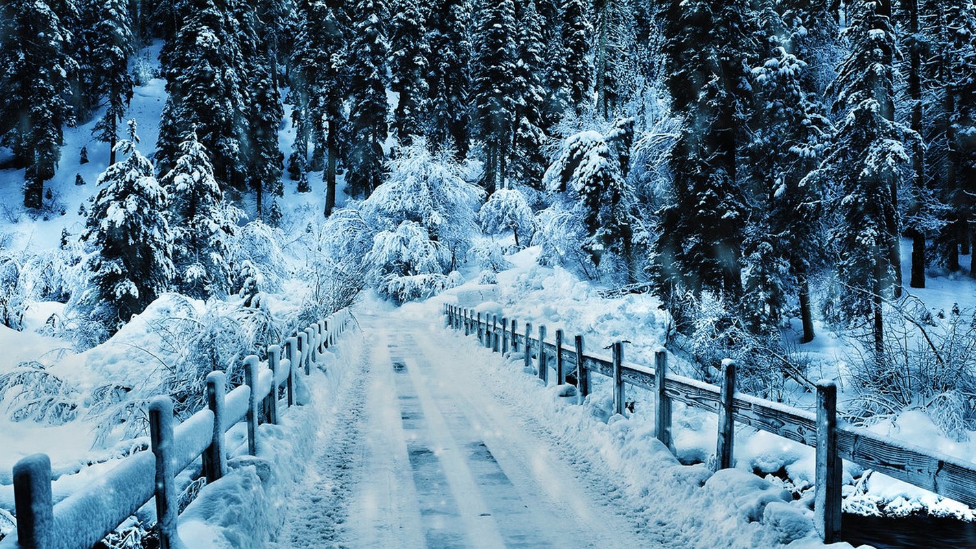 A snow-covered bridge in a winter forest HD Wallpaper