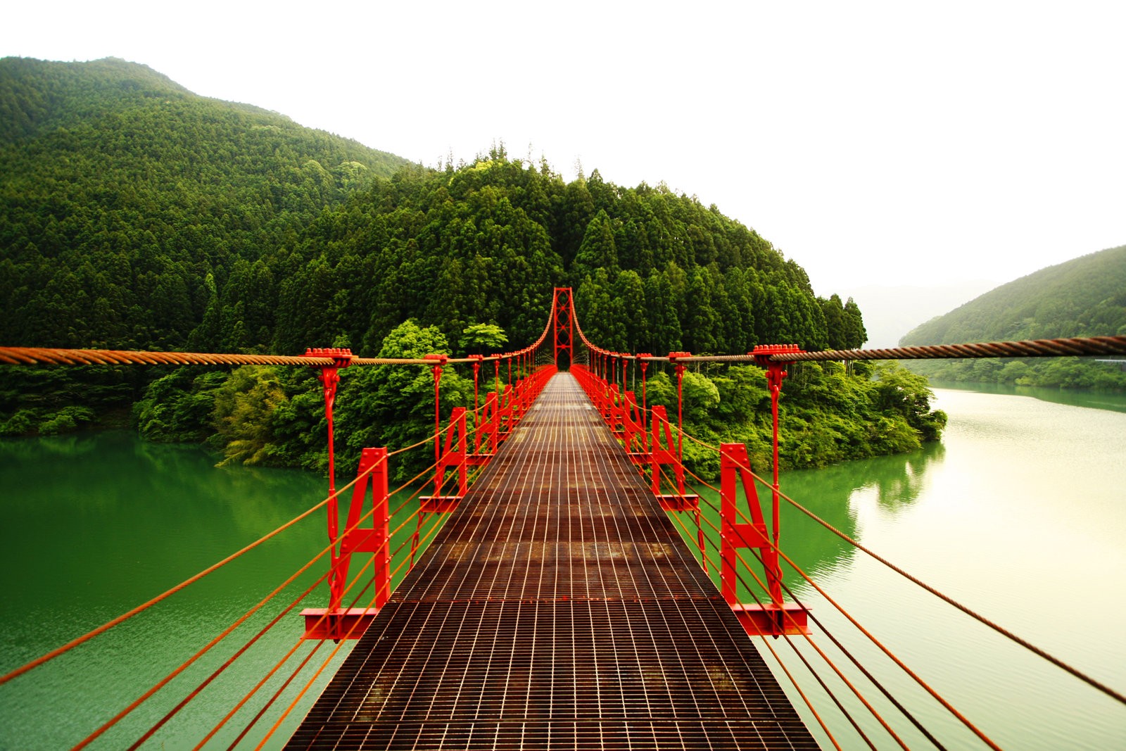 Red suspension bridge over a green lake surrounded by forest HD Wallpaper