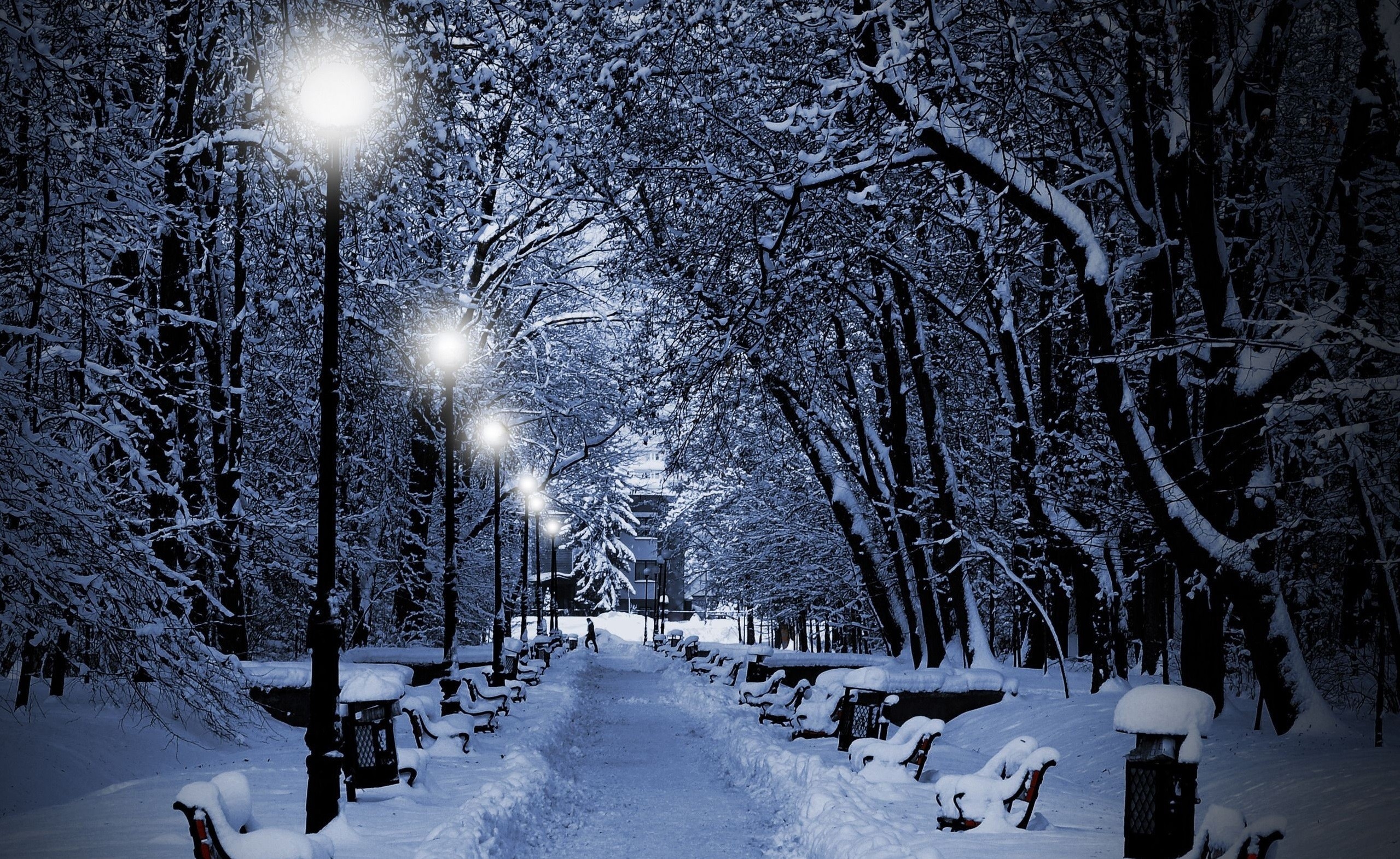 Snowy park path with streetlights and benches at night HD Wallpaper