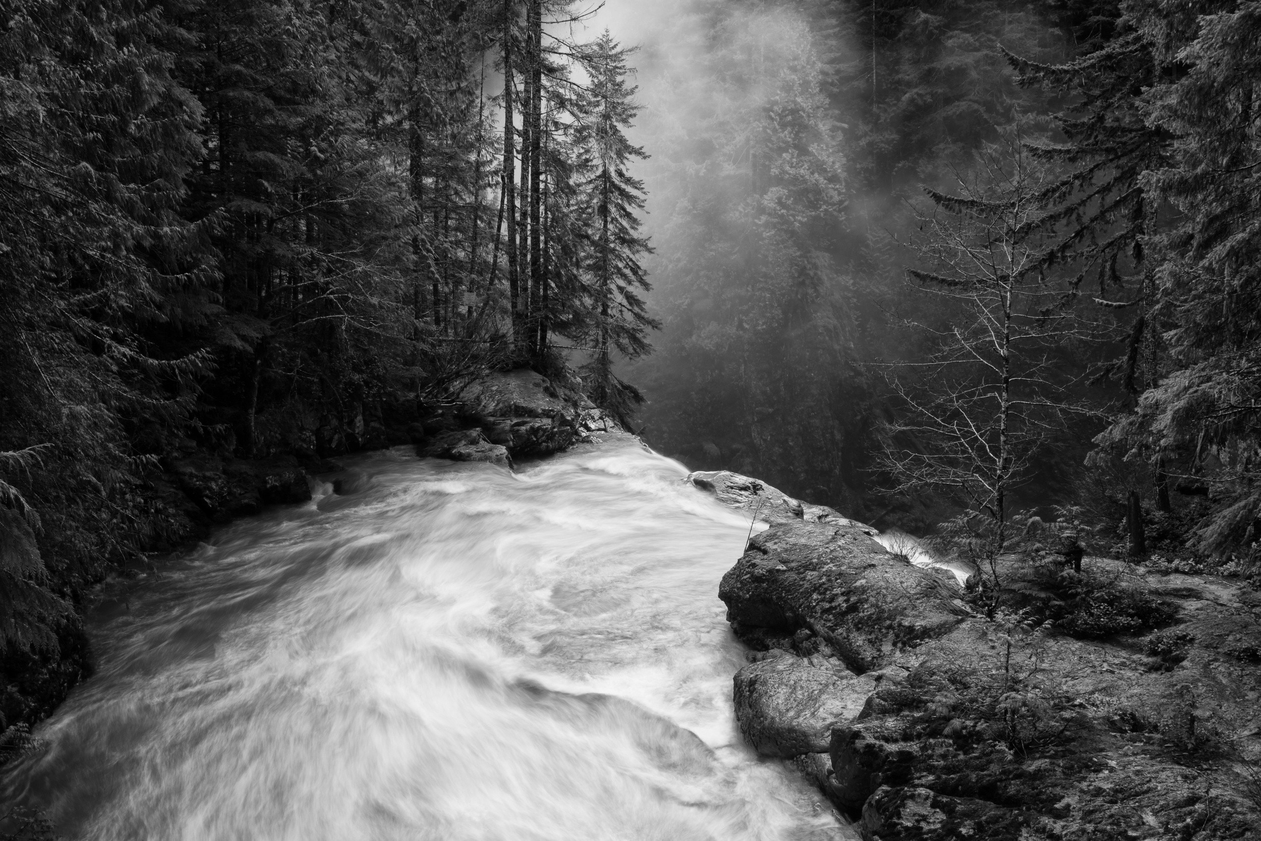 Monochrome forest waterfall with mist HD Wallpaper
