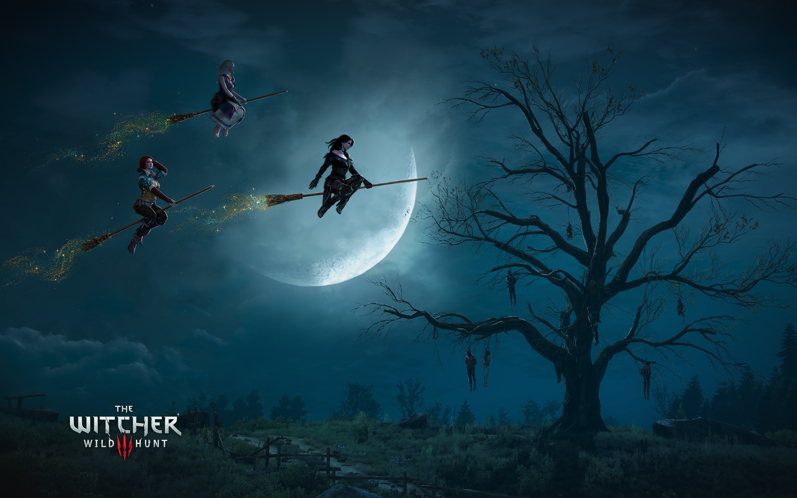 The Witcher 3: Wild Hunt witches flying on brooms HD Wallpaper