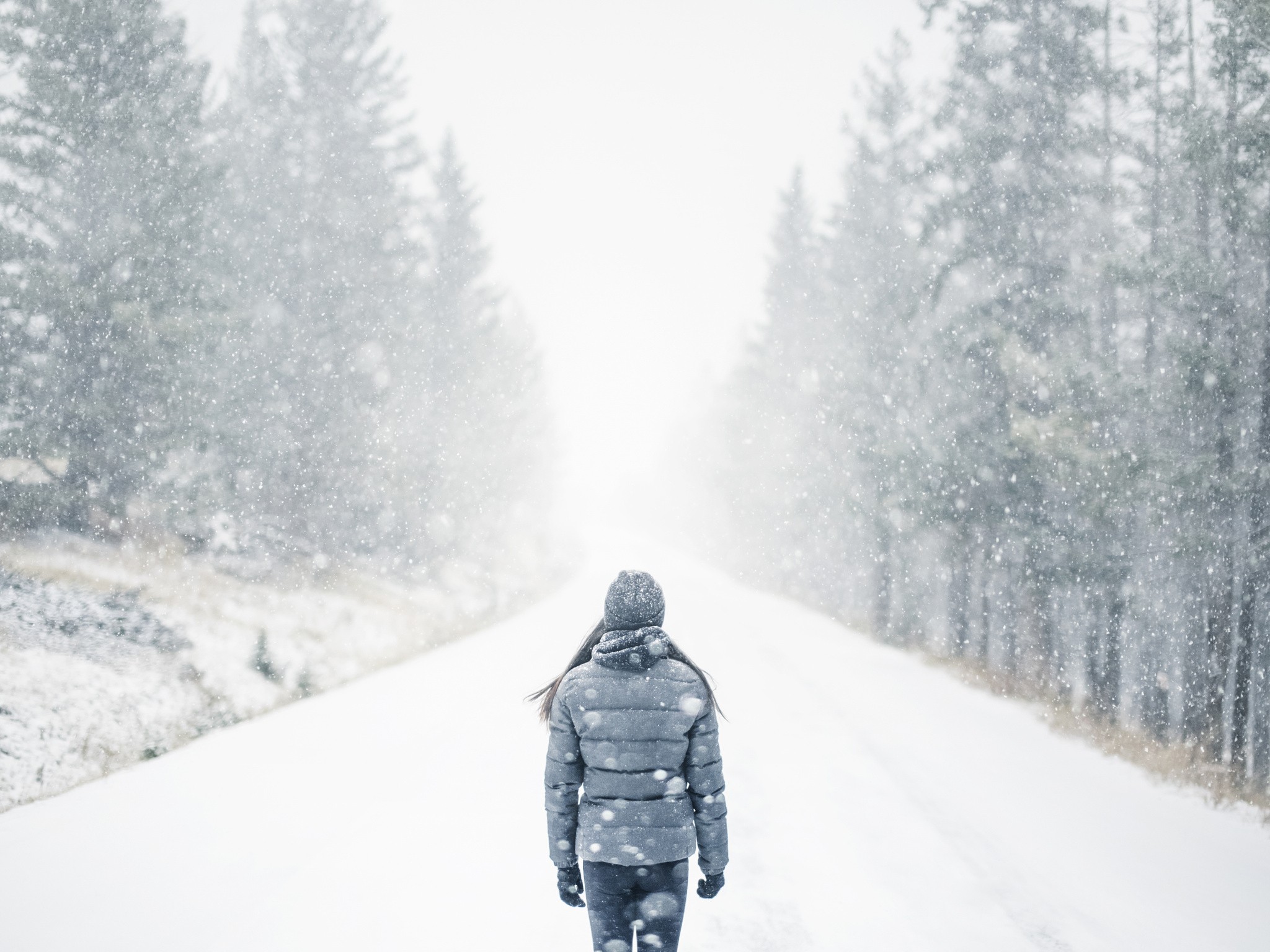 Woman walking on a snowy road surrounded by trees HD Wallpaper