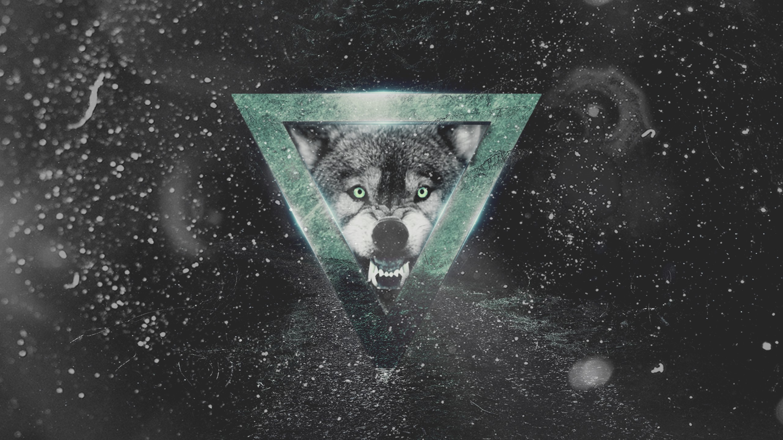 Aggressive wolf inside a green triangle HD Wallpaper