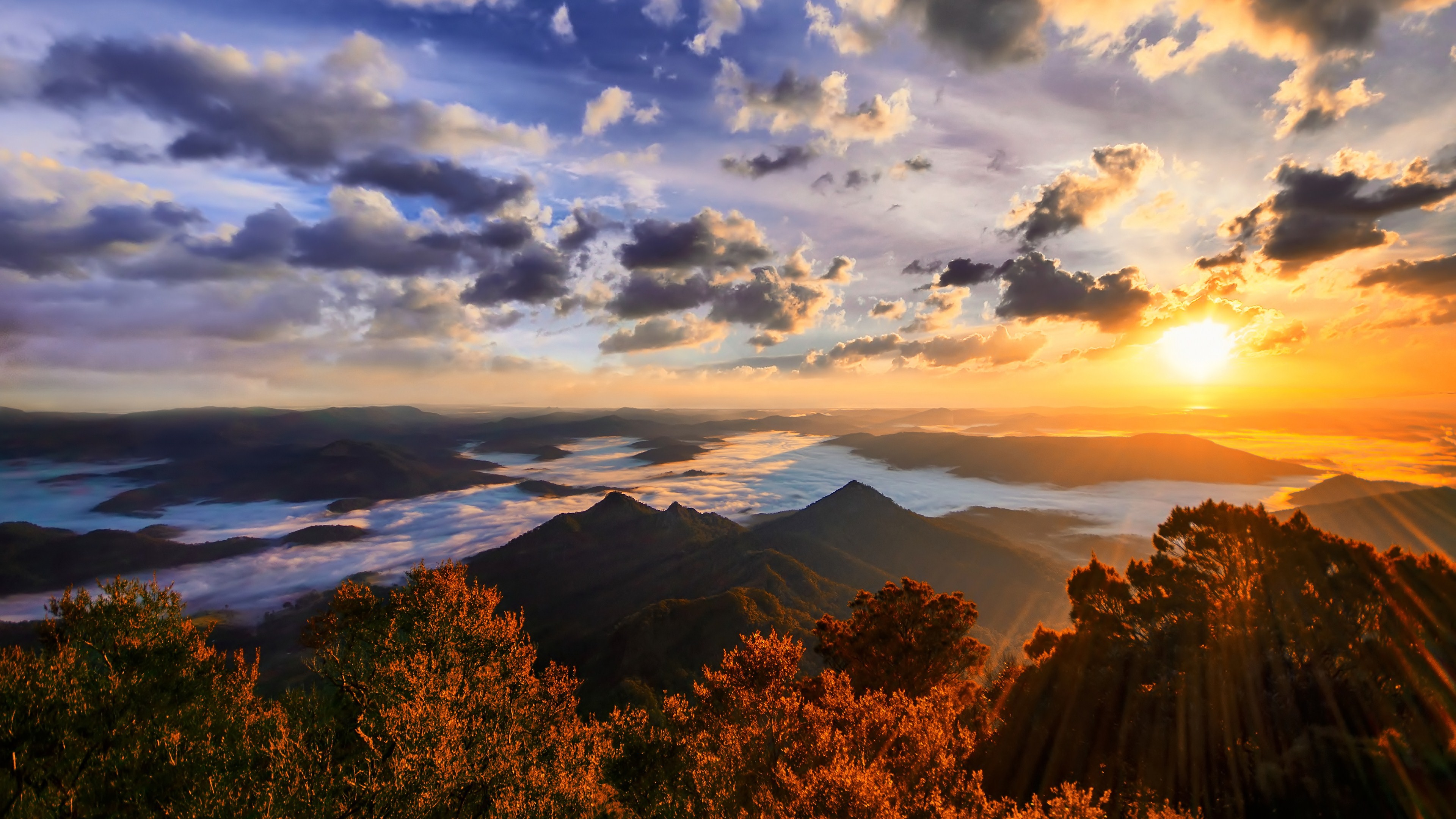 Sunrise over misty mountains and forest HD Wallpaper