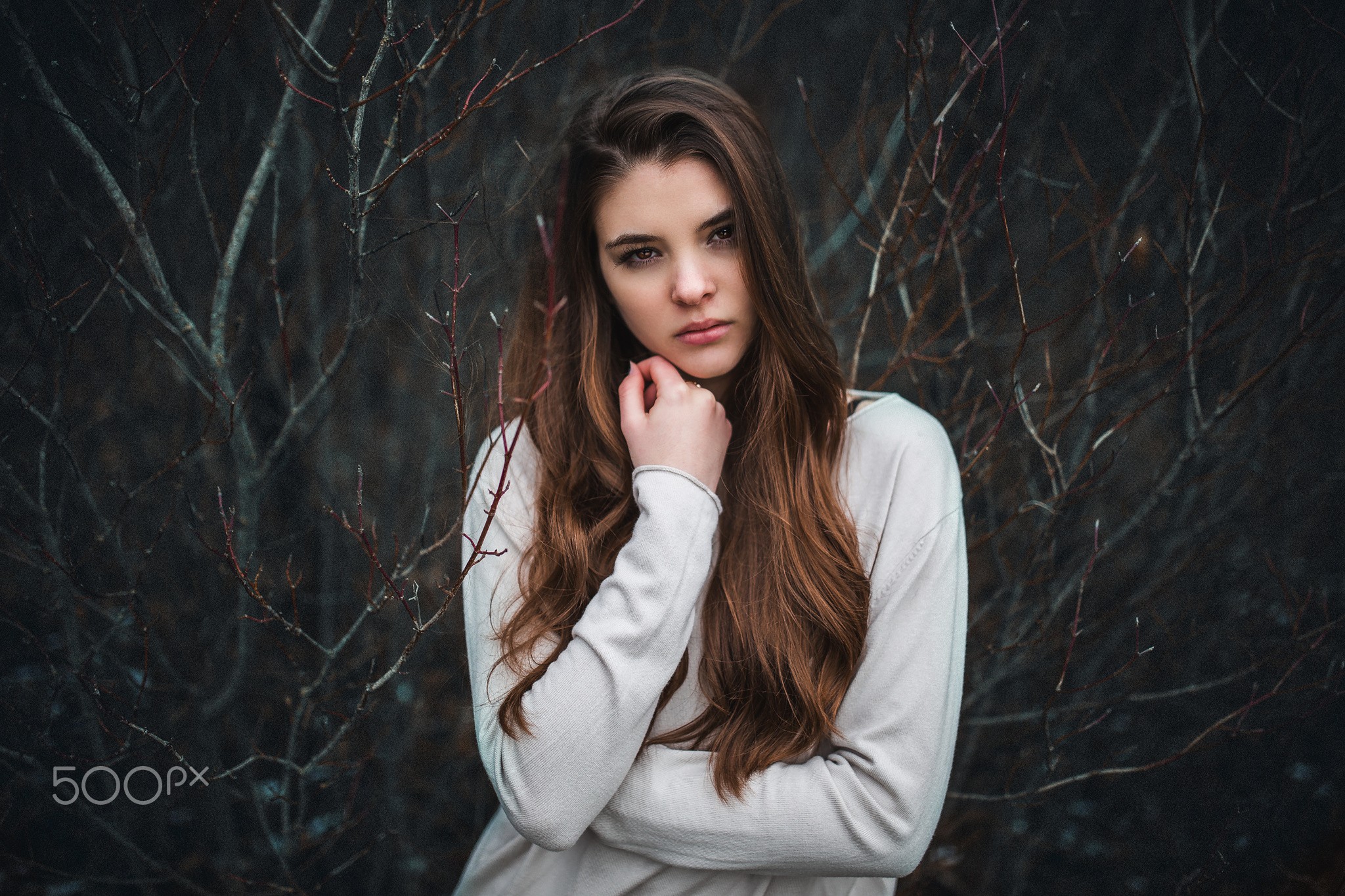 Portrait of a young woman with long brown hair HD Wallpaper