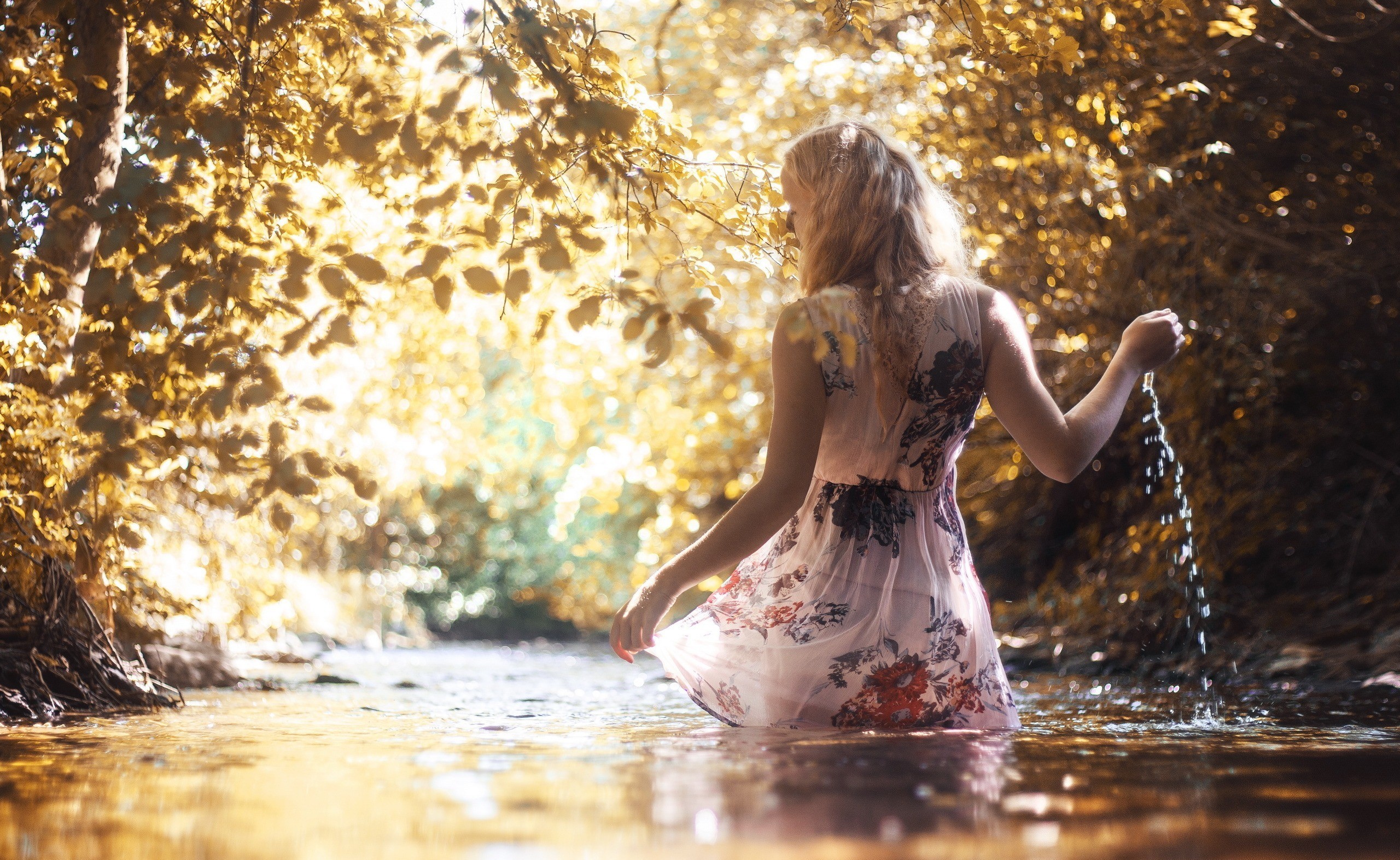 Woman in a floral dress wading in a stream HD Wallpaper