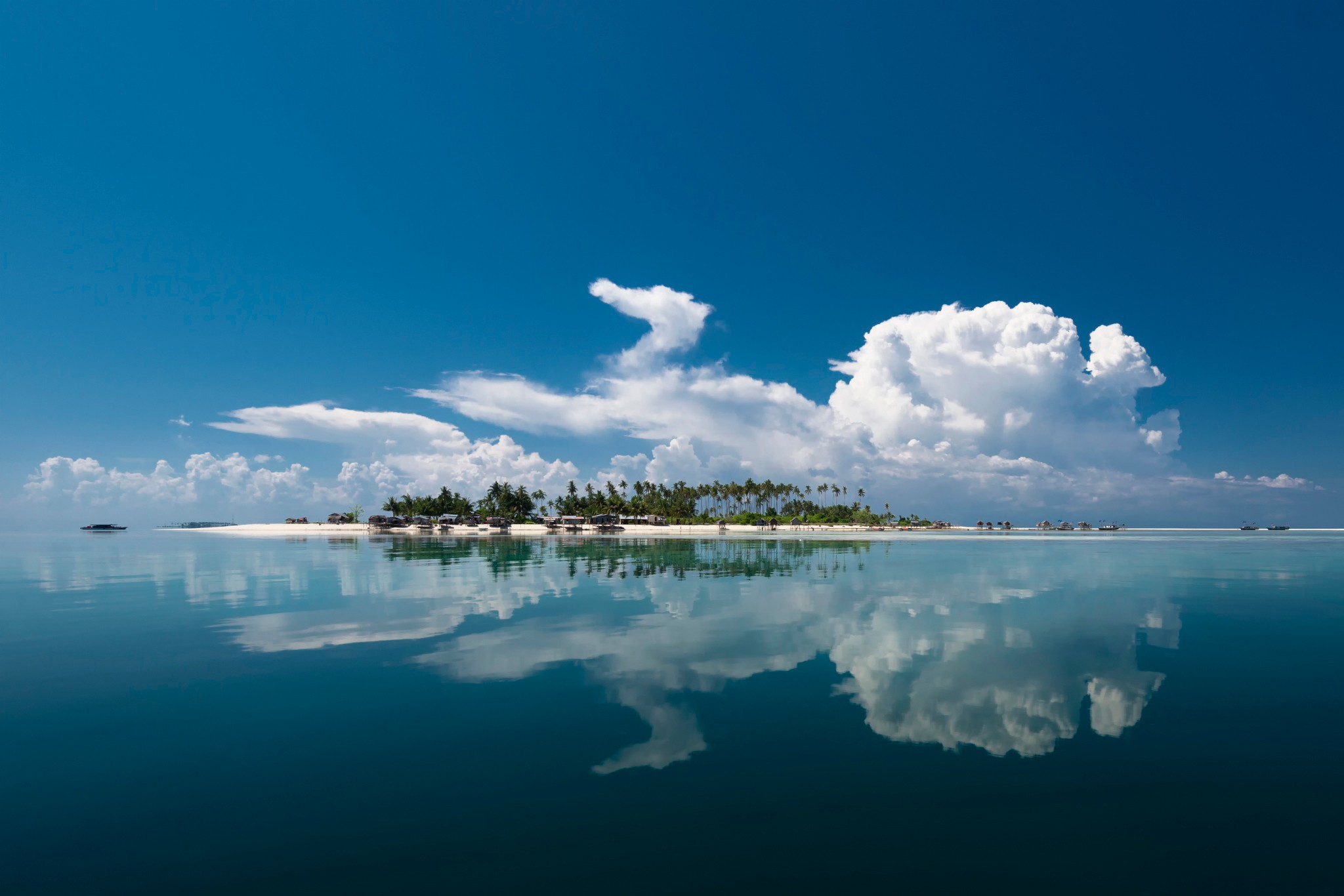 Island with palm trees and reflection in the sea HD Wallpaper