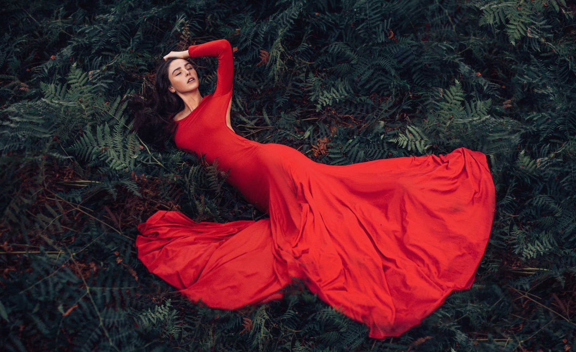 Woman in a red dress lying in ferns HD Wallpaper