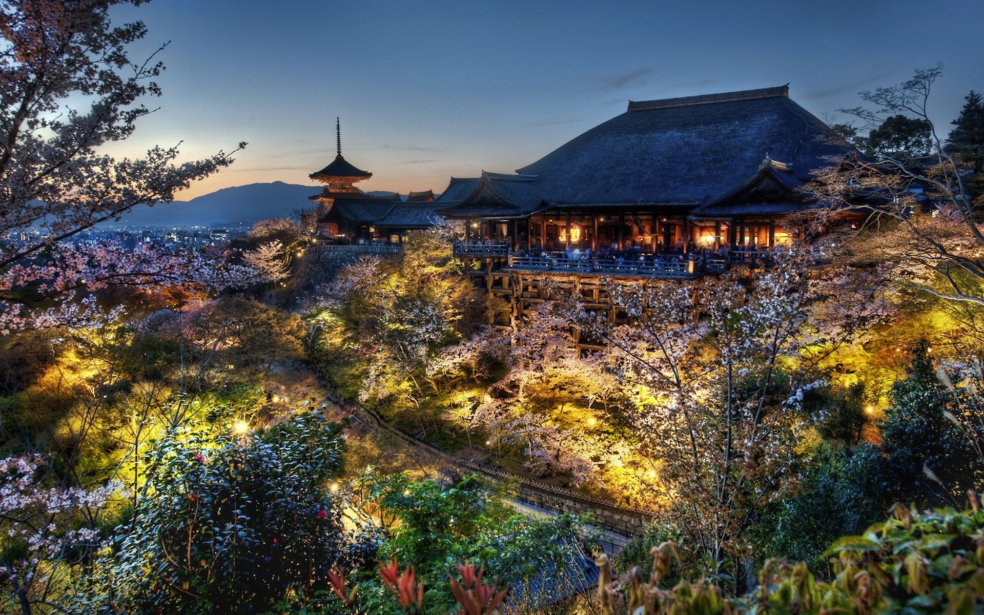 Kiyomizu Dera temple in Kyoto during cherry blossom season at dusk HD Wallpaper