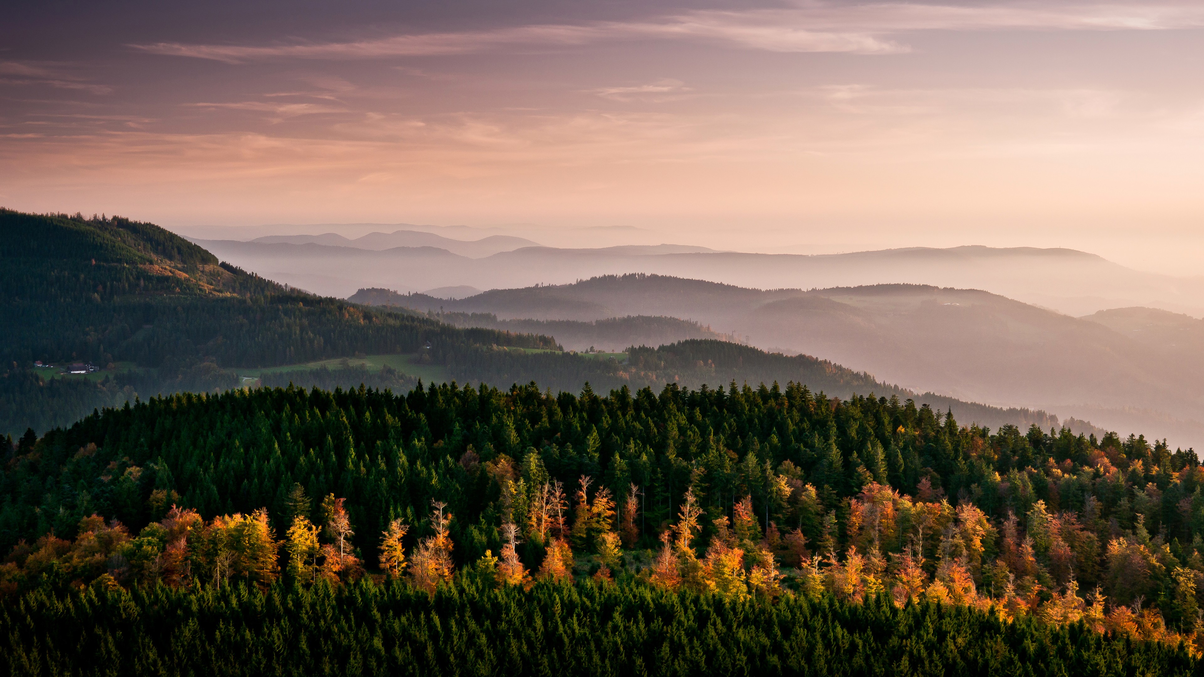 Misty mountain landscape with autumn forest HD Wallpaper