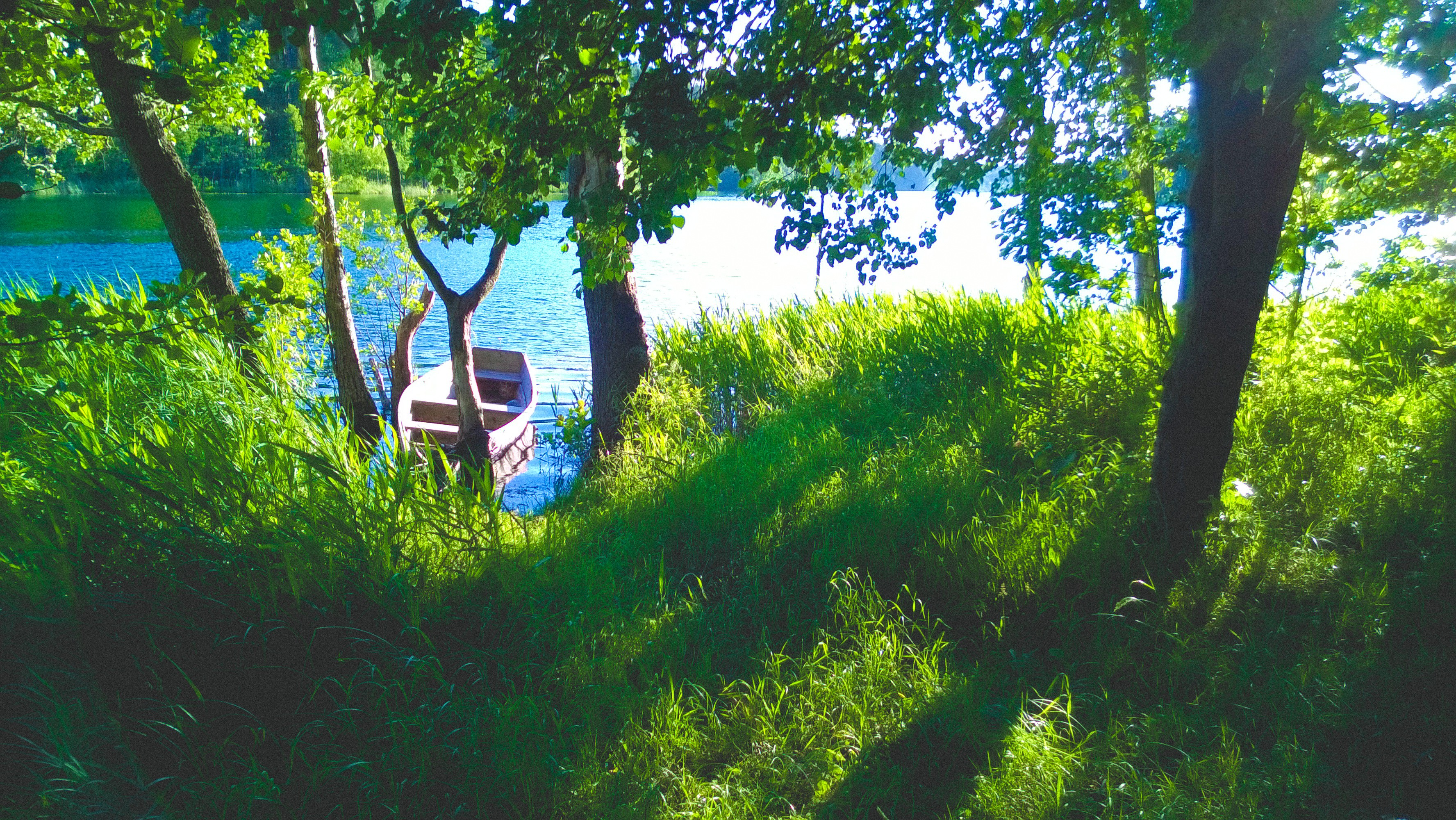 A small boat rests by a lake surrounded by trees and grass HD Wallpaper