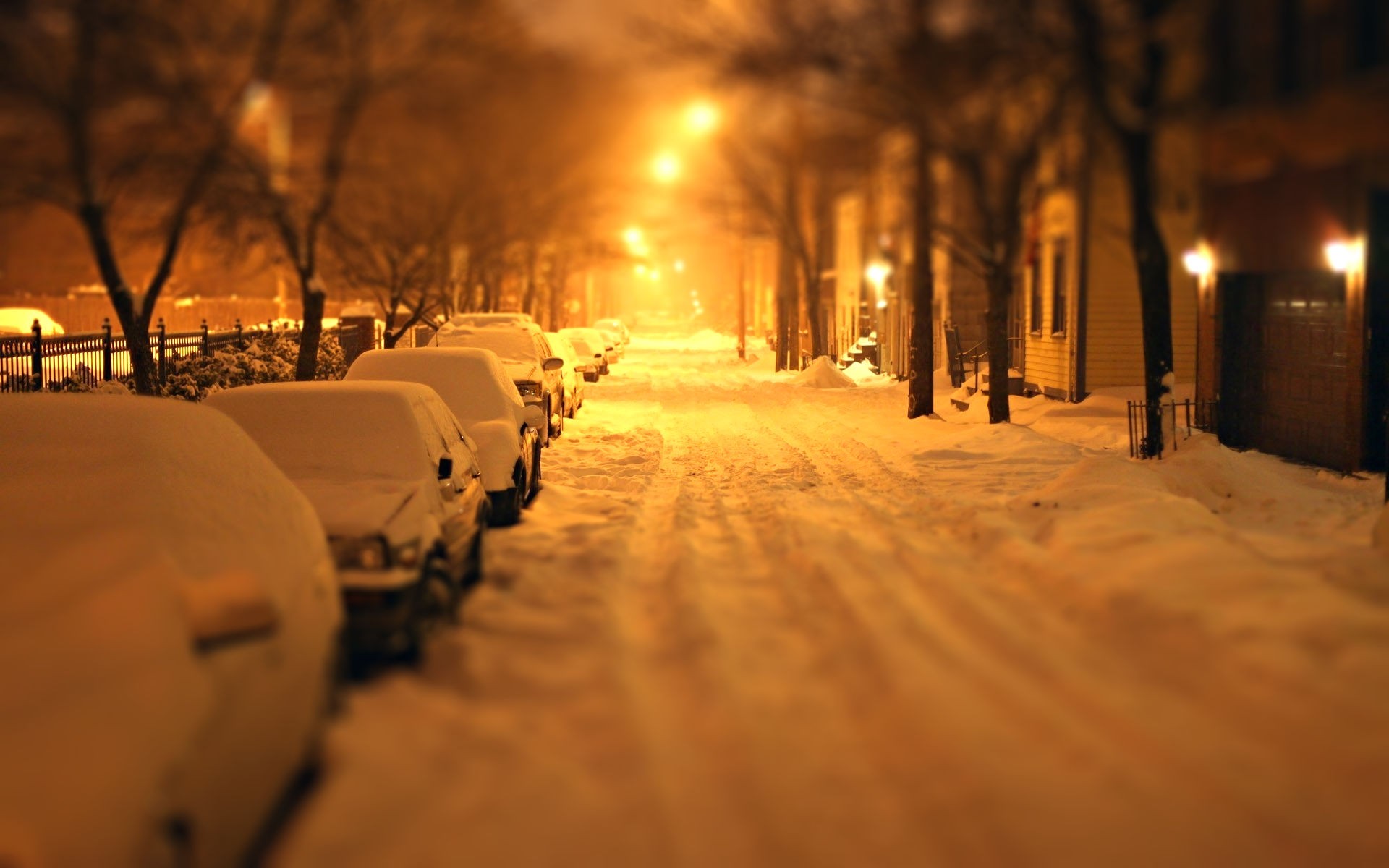 Snowy street at night with parked cars and streetlights HD Wallpaper