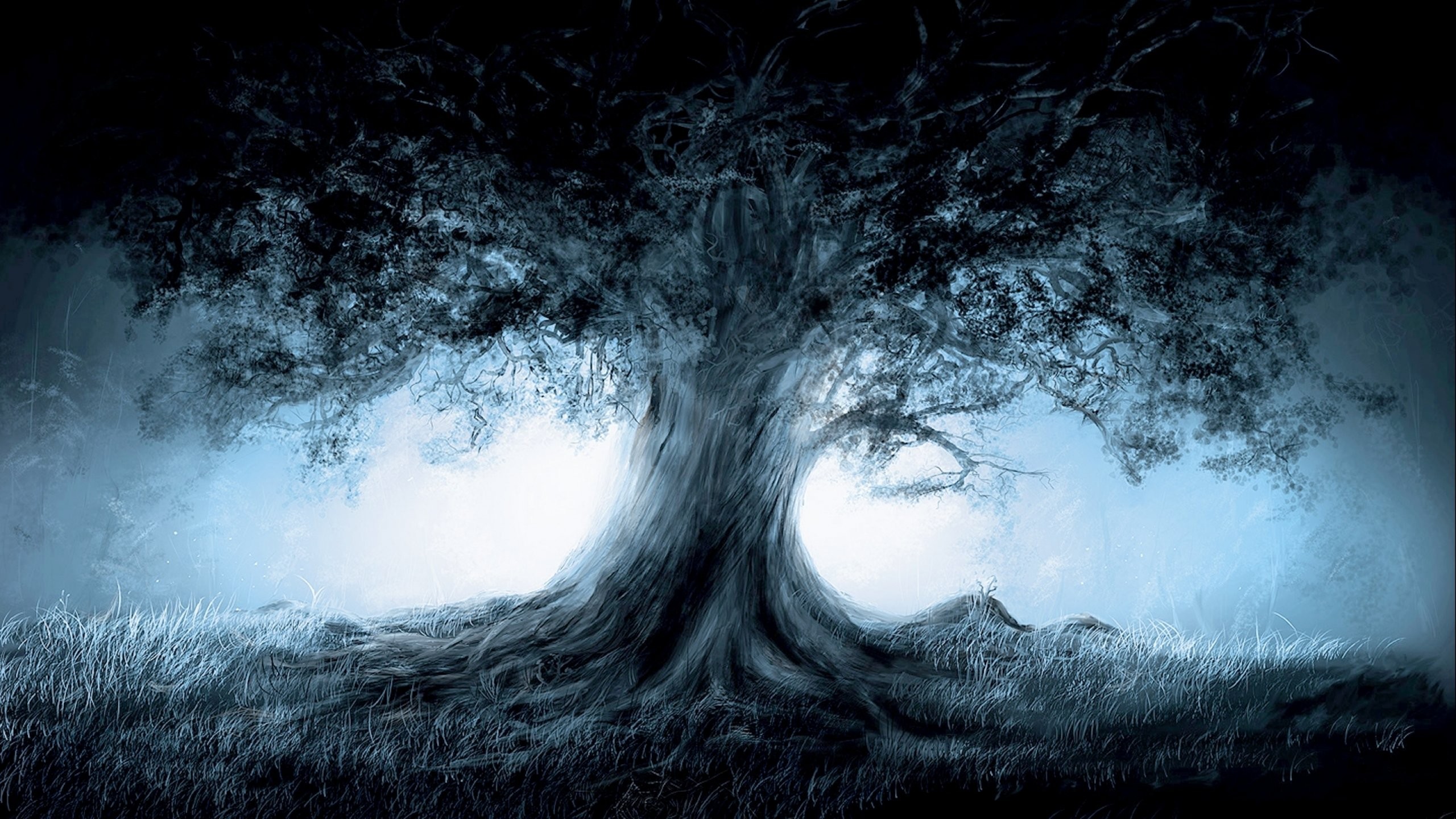 A dark, gnarled tree in a misty landscape HD Wallpaper