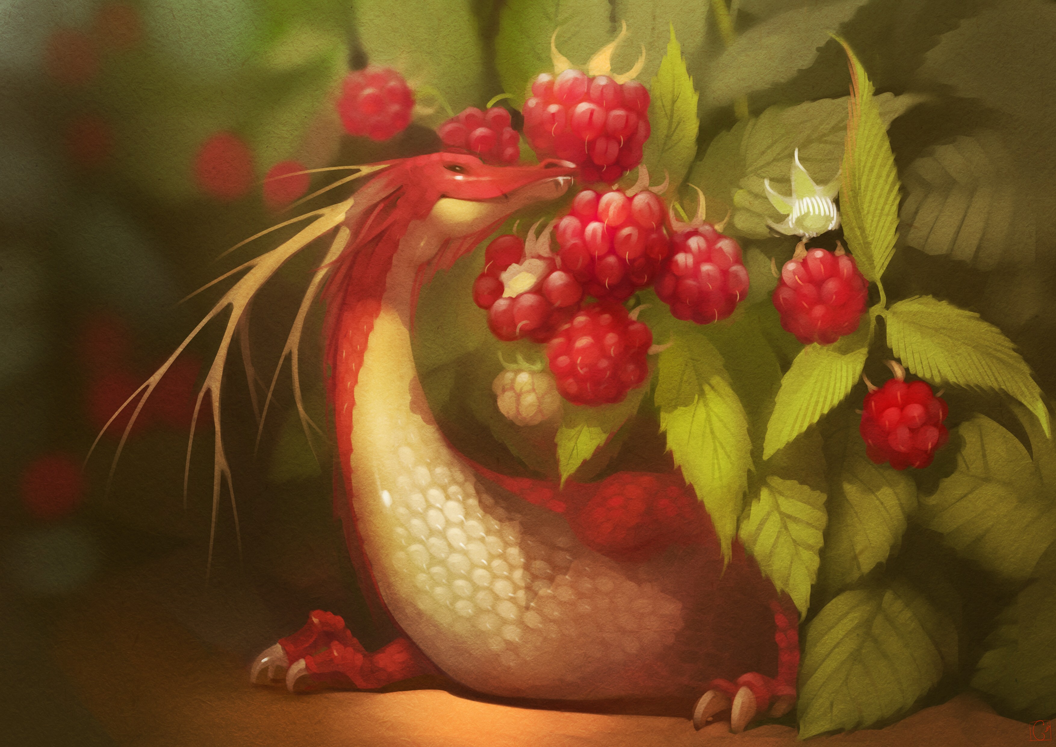Red dragon eating raspberries in a forest HD Wallpaper