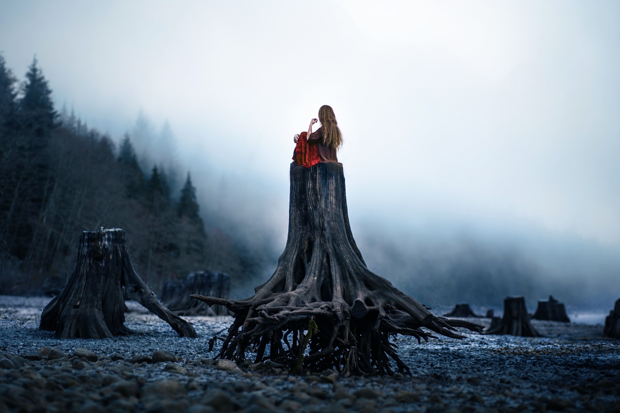 Woman sitting on a tree stump in a foggy forest HD Wallpaper