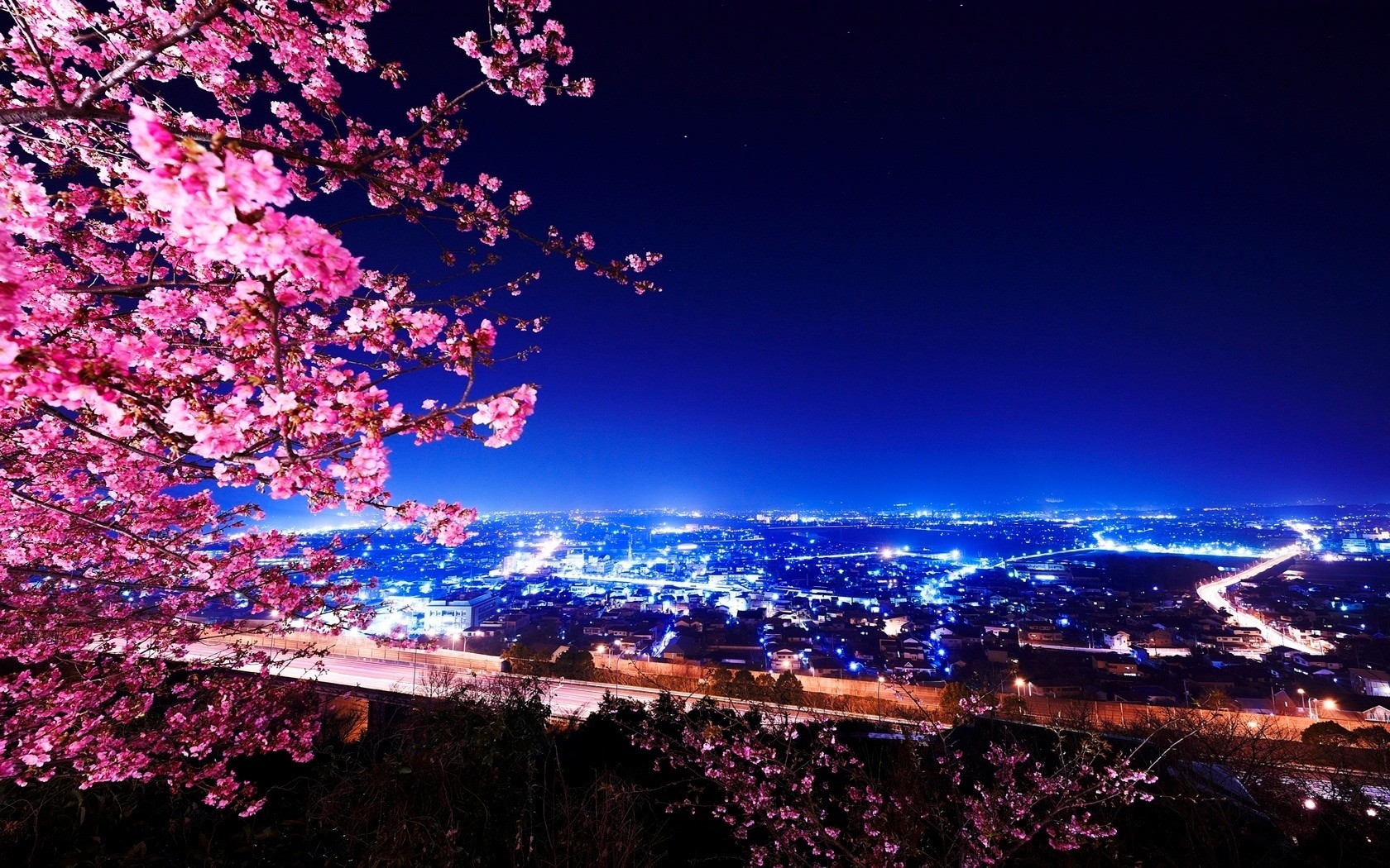 Night cityscape with cherry blossoms HD Wallpaper