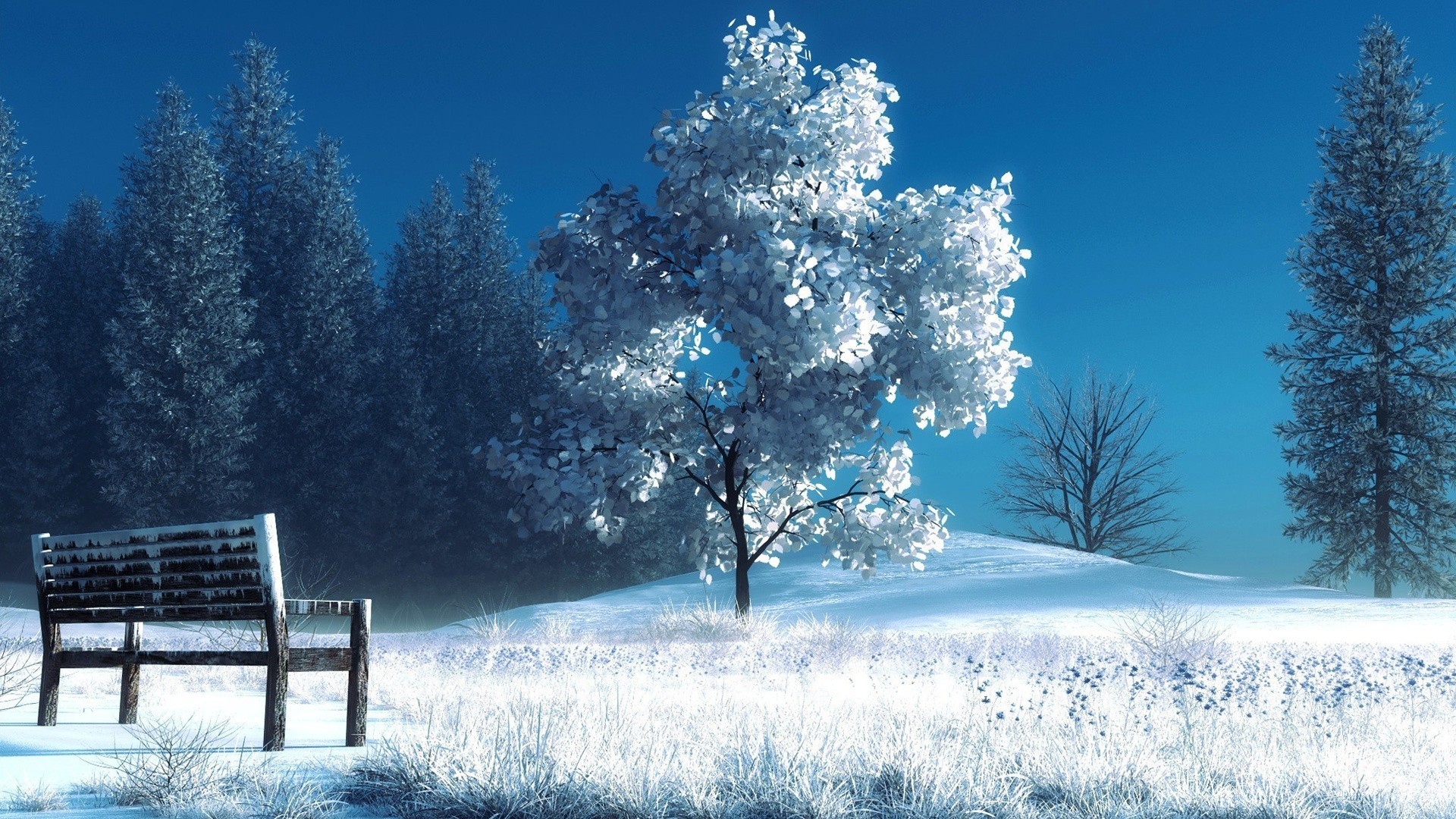 Winter scene with snow-covered trees and a bench HD Wallpaper