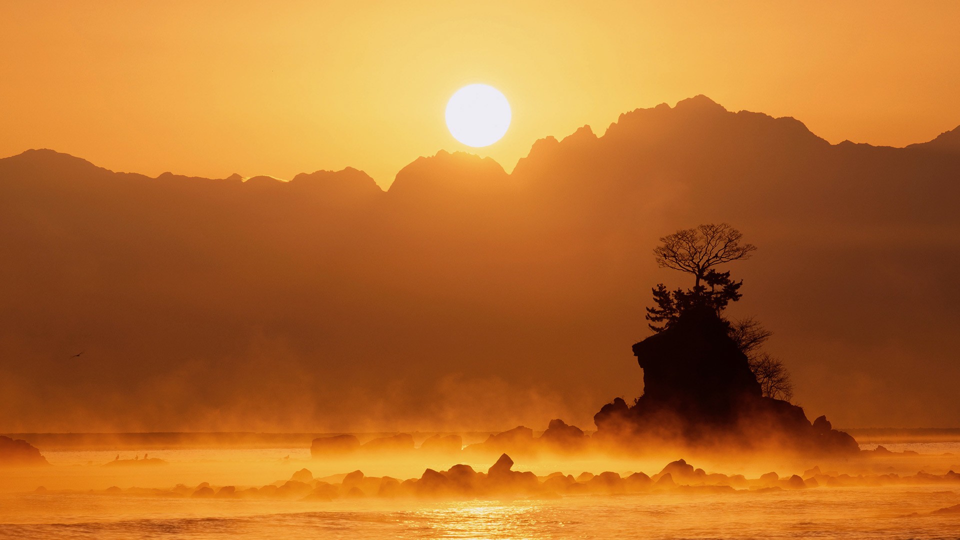 Sunrise over misty mountains and a rocky island with a tree HD Wallpaper