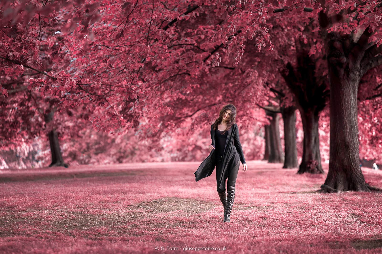 Woman walking in a pink tree-lined park HD Wallpaper