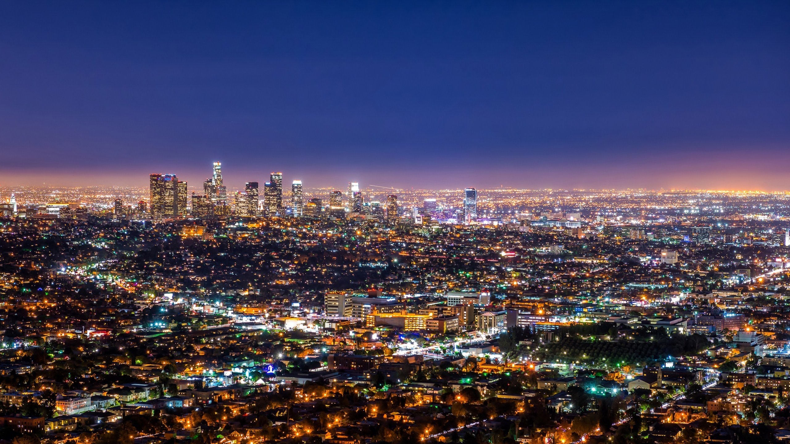 Los Angeles skyline at night with city lights HD Wallpaper