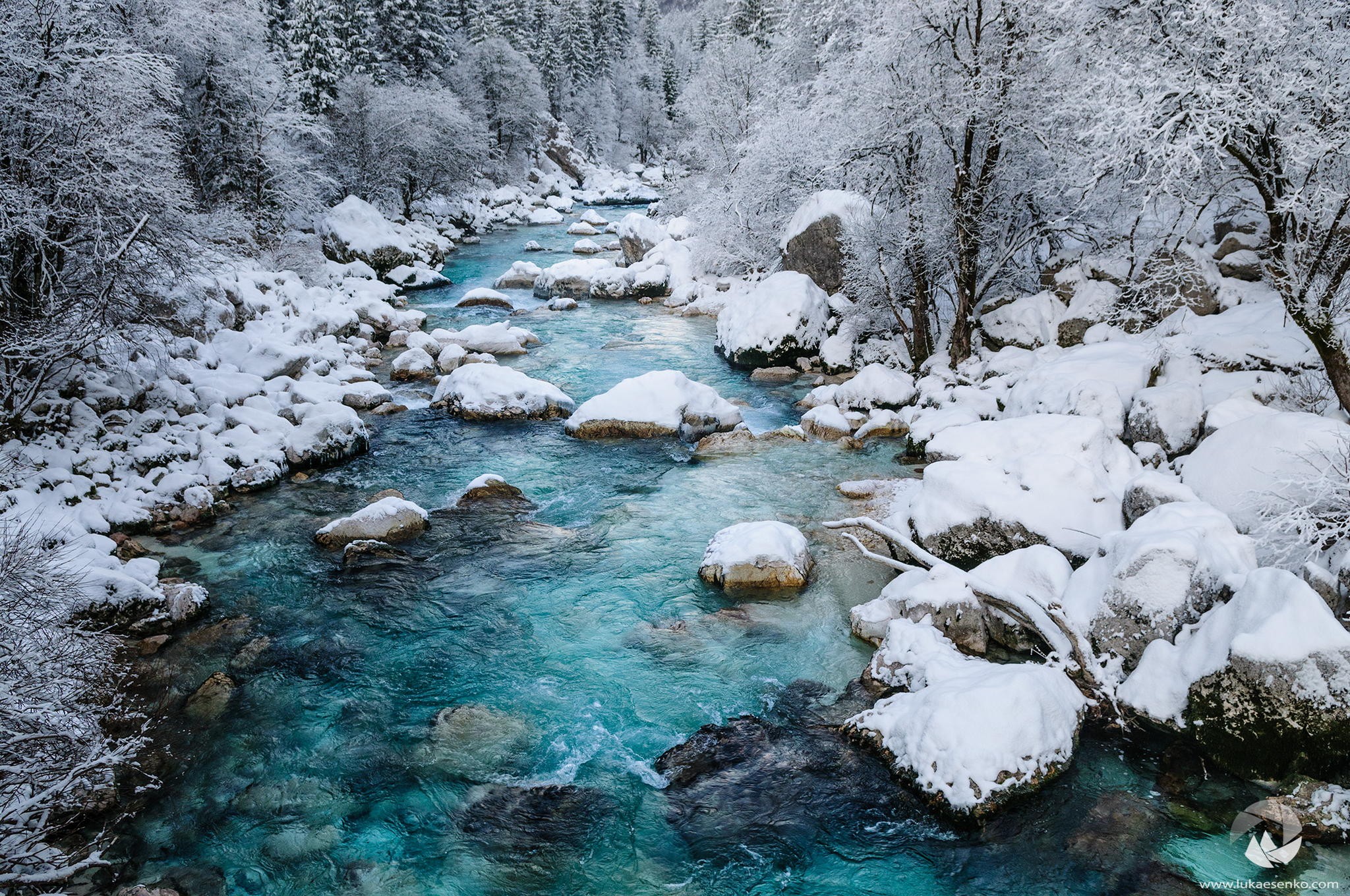 Turquoise river flowing through a snowy forest HD Wallpaper